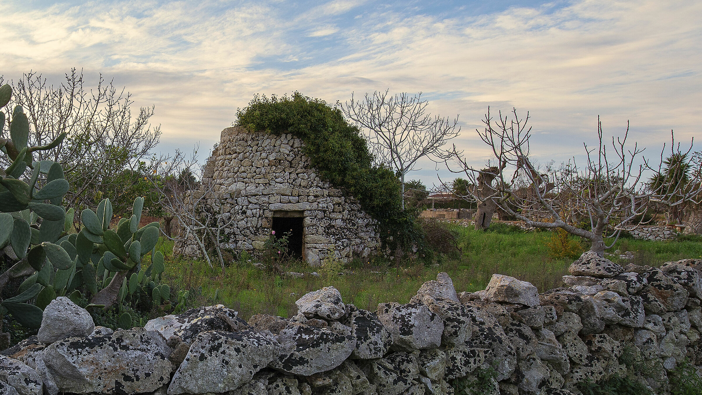 pajara con messa in piega