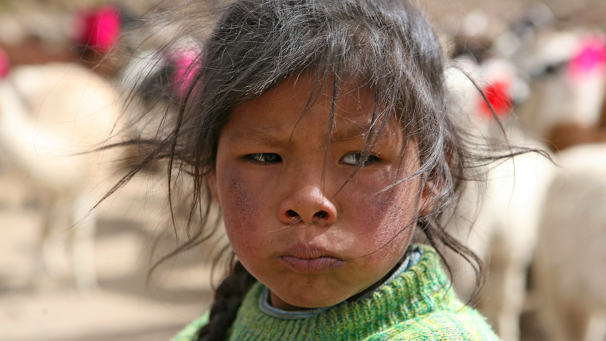 Vivere in Perù a 4000 metri