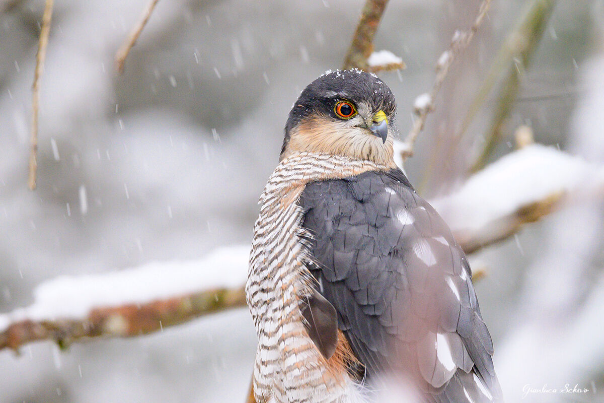 Quando meno te lo aspetti
