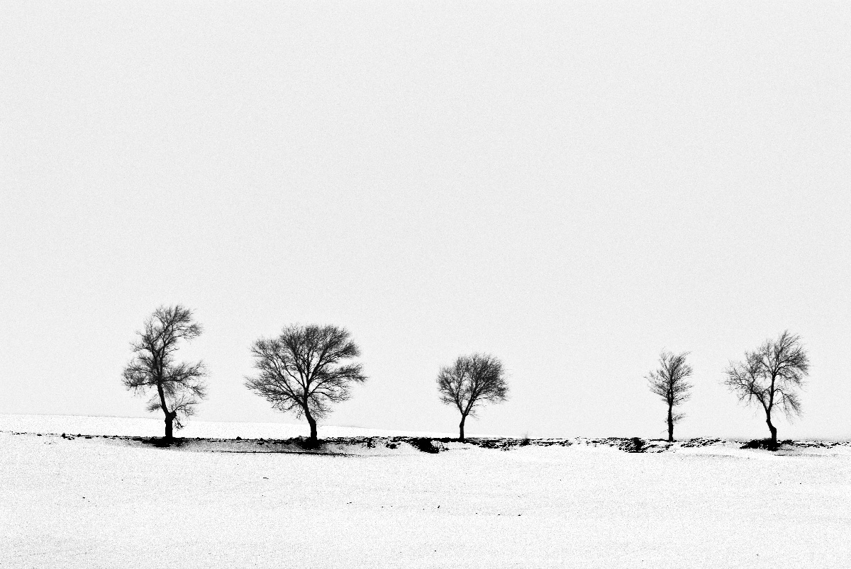 puglia sotto la neve 3