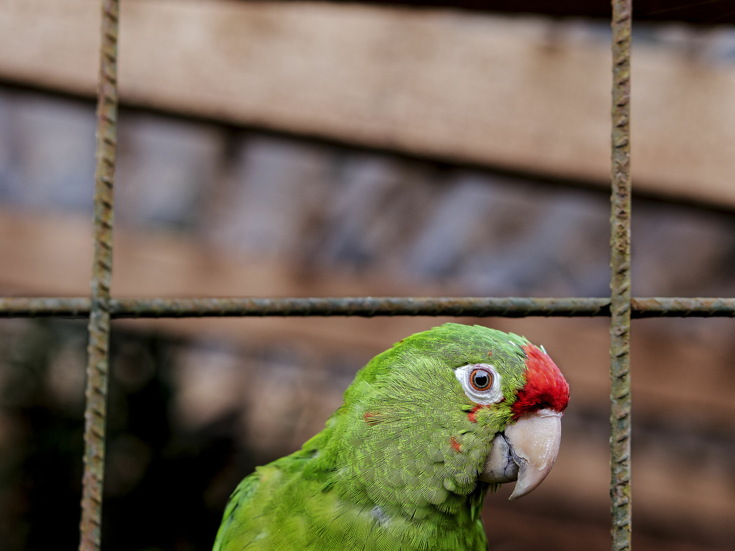 Cold Comfort for Change