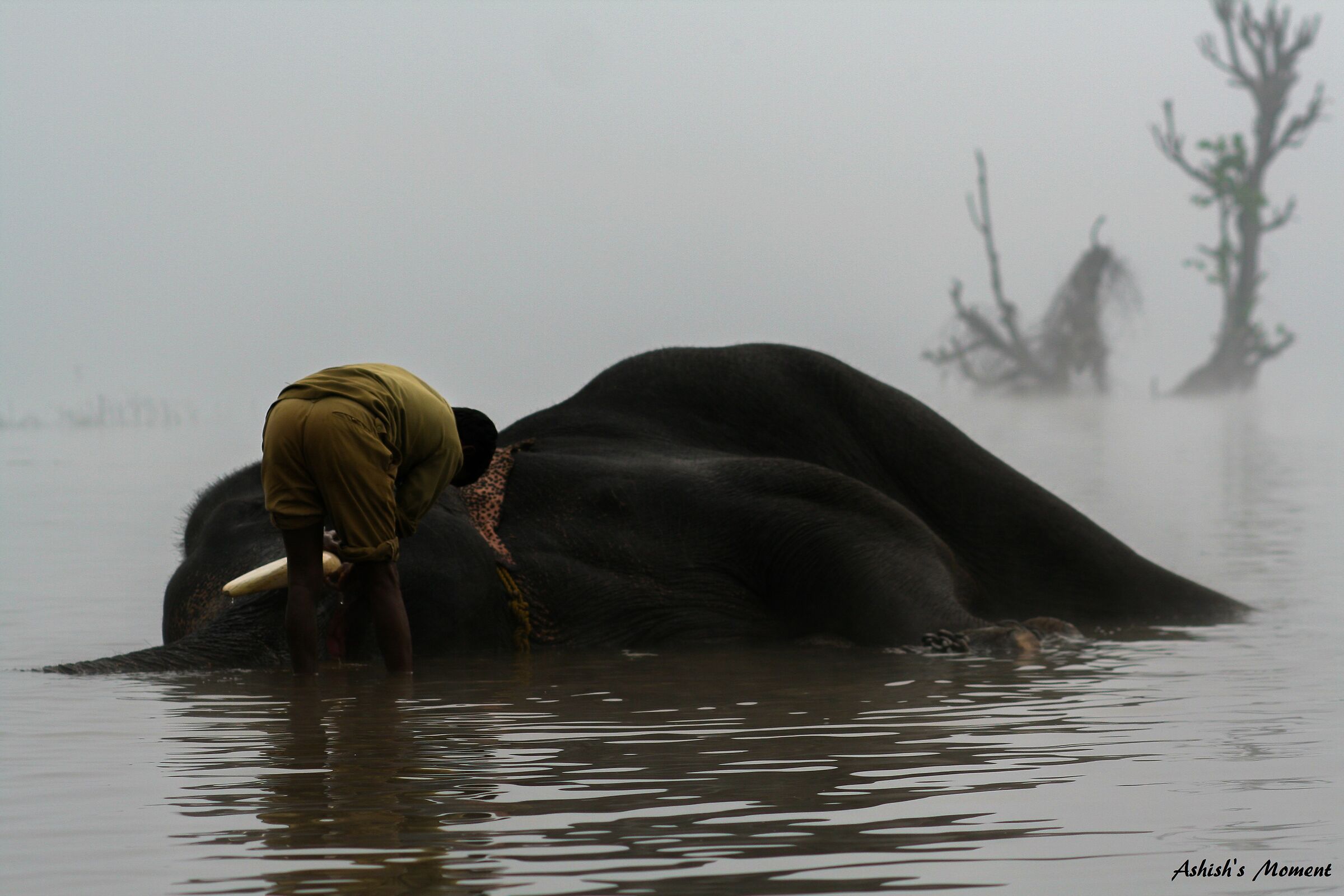 Fare il bagno al gigante
