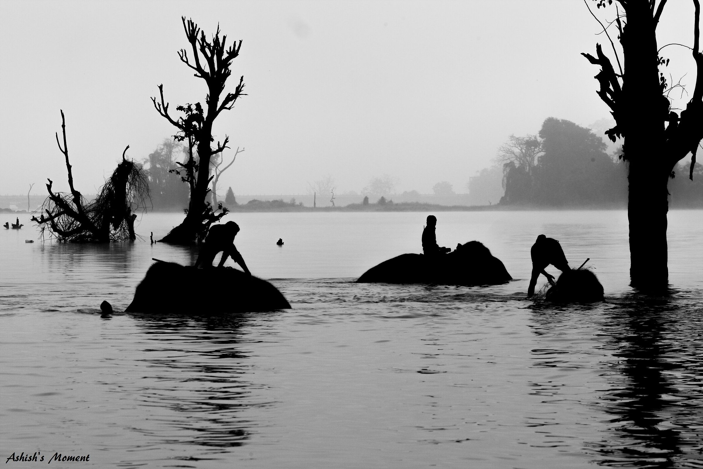 Fare il bagno ai giganti