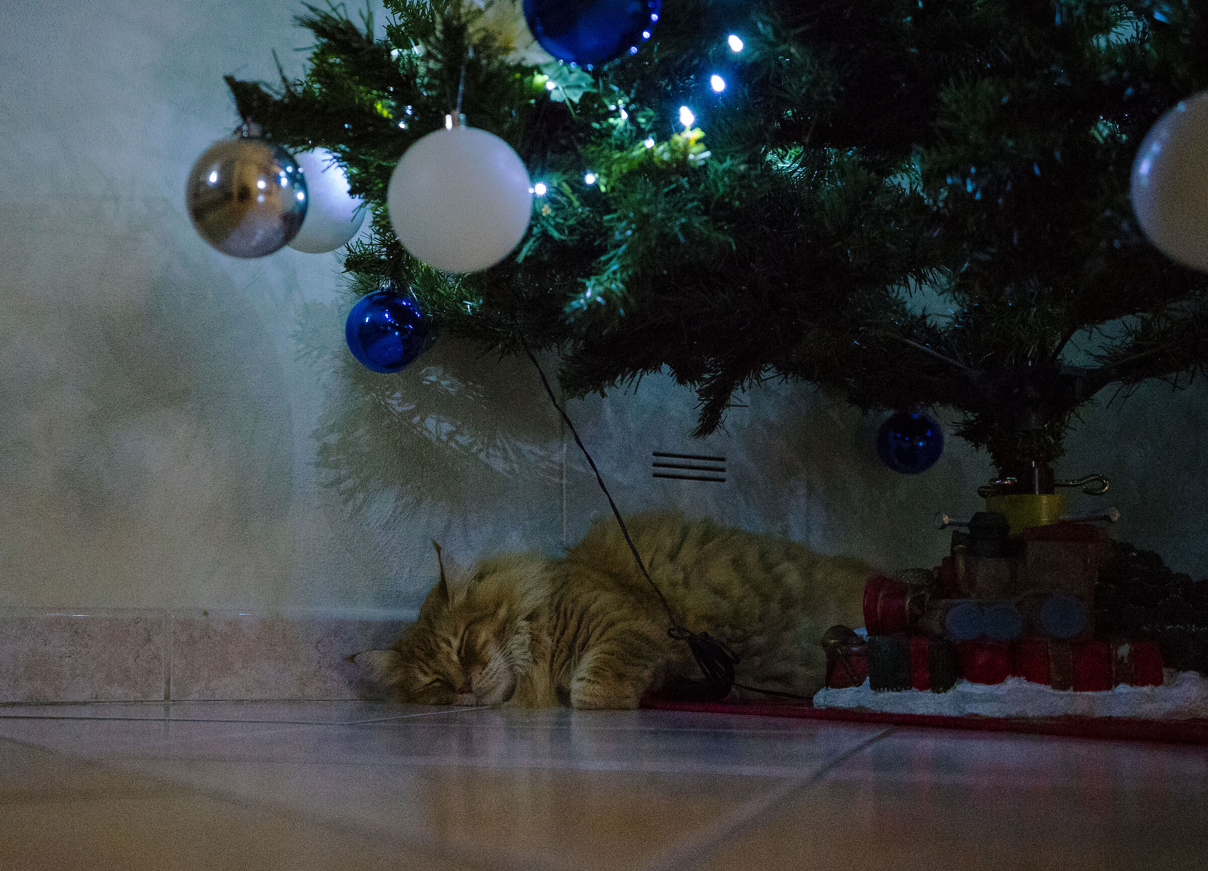 Christmas Cat