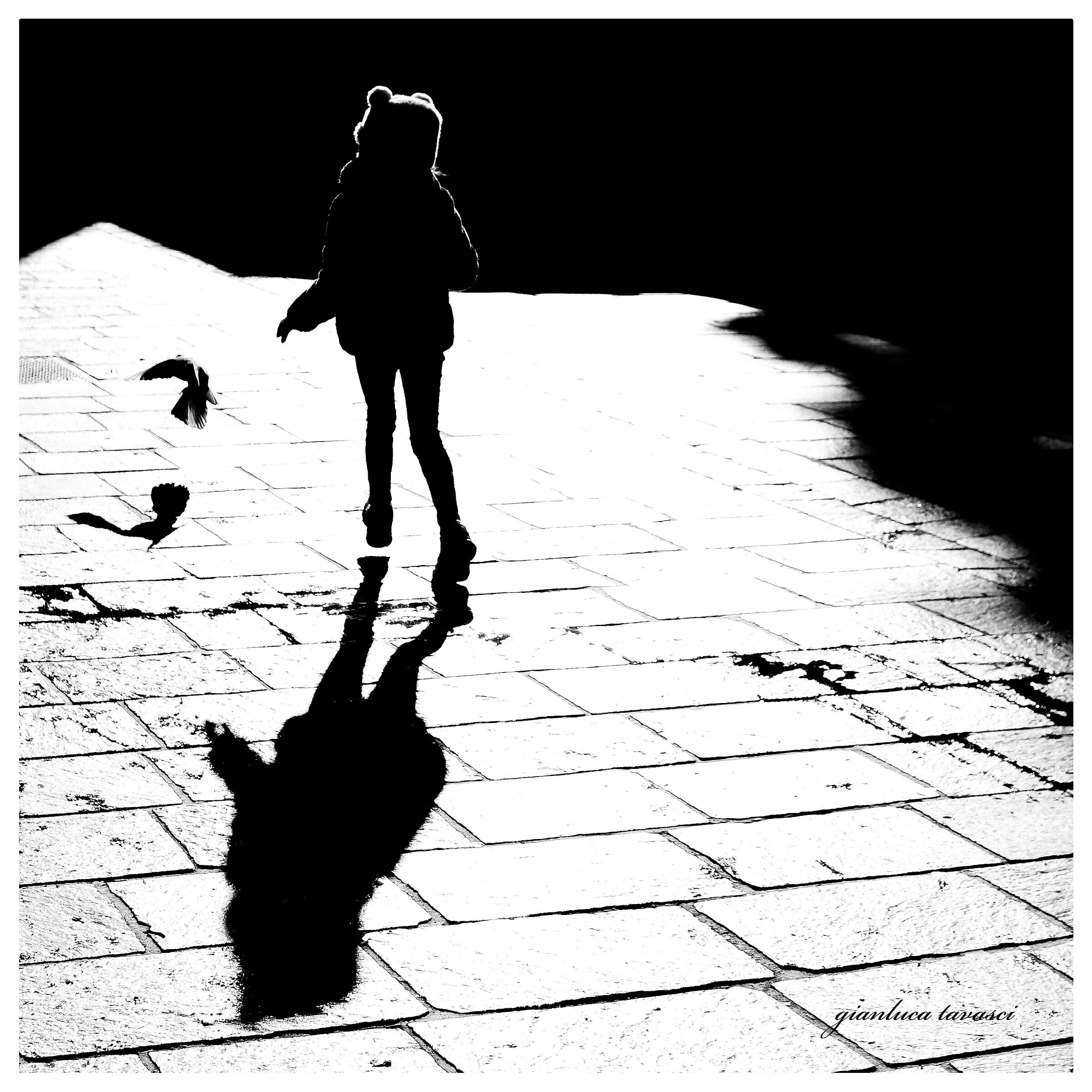 Ludovica and the Pigeon