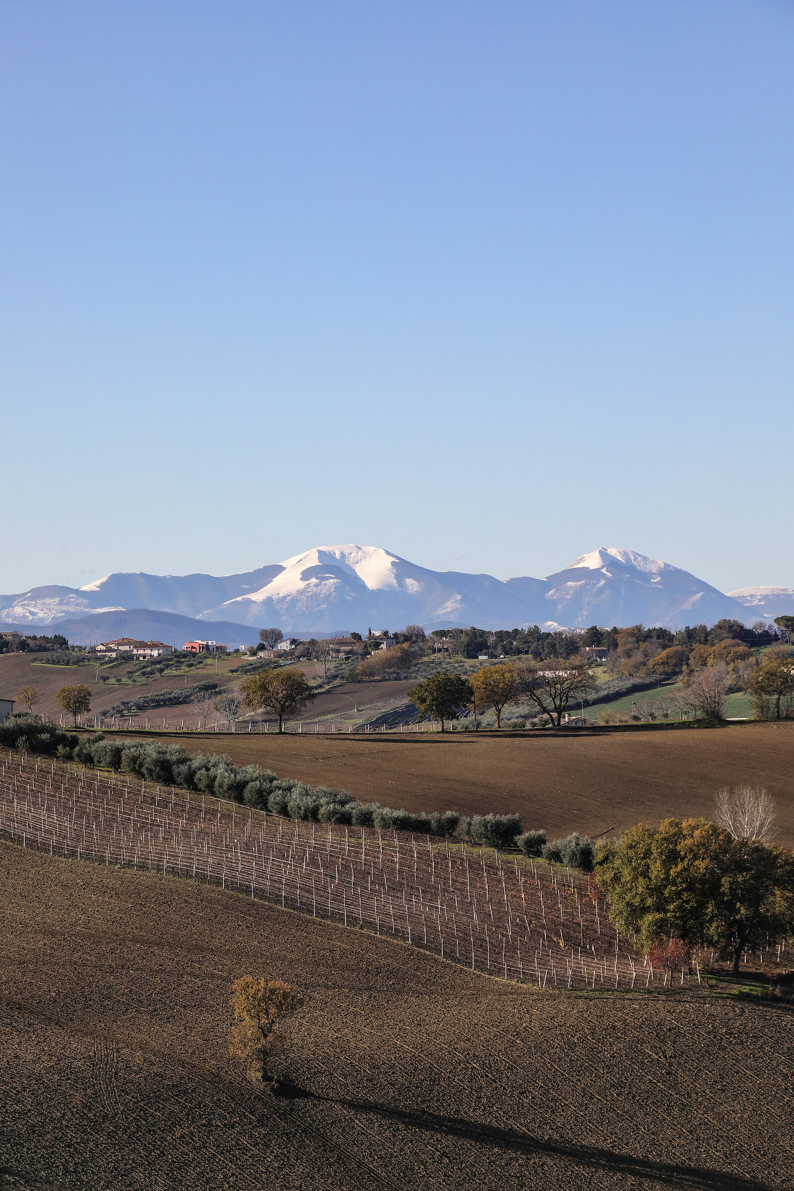 Panorama of Mount Catria (PU)