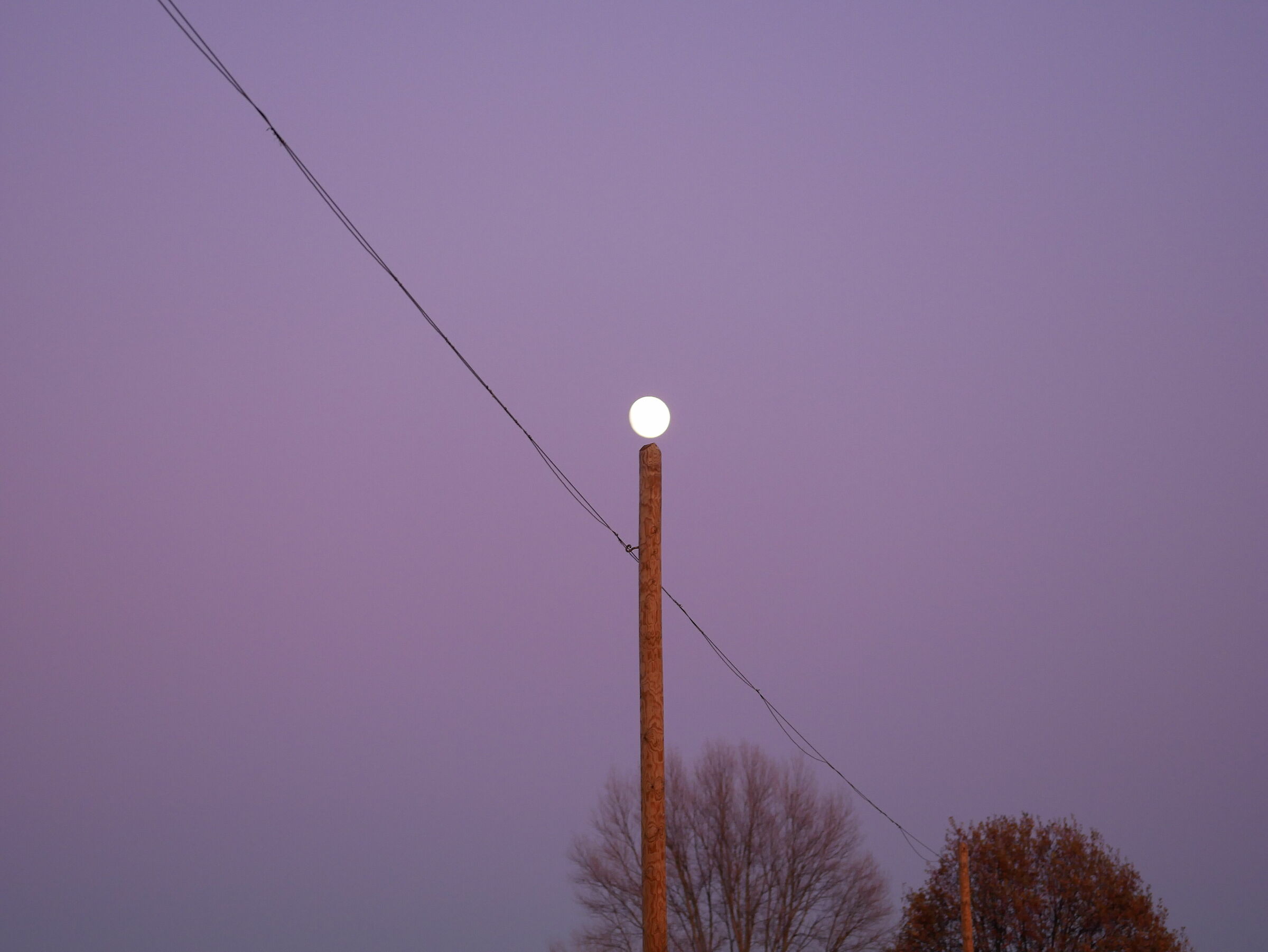 la luna sul palo