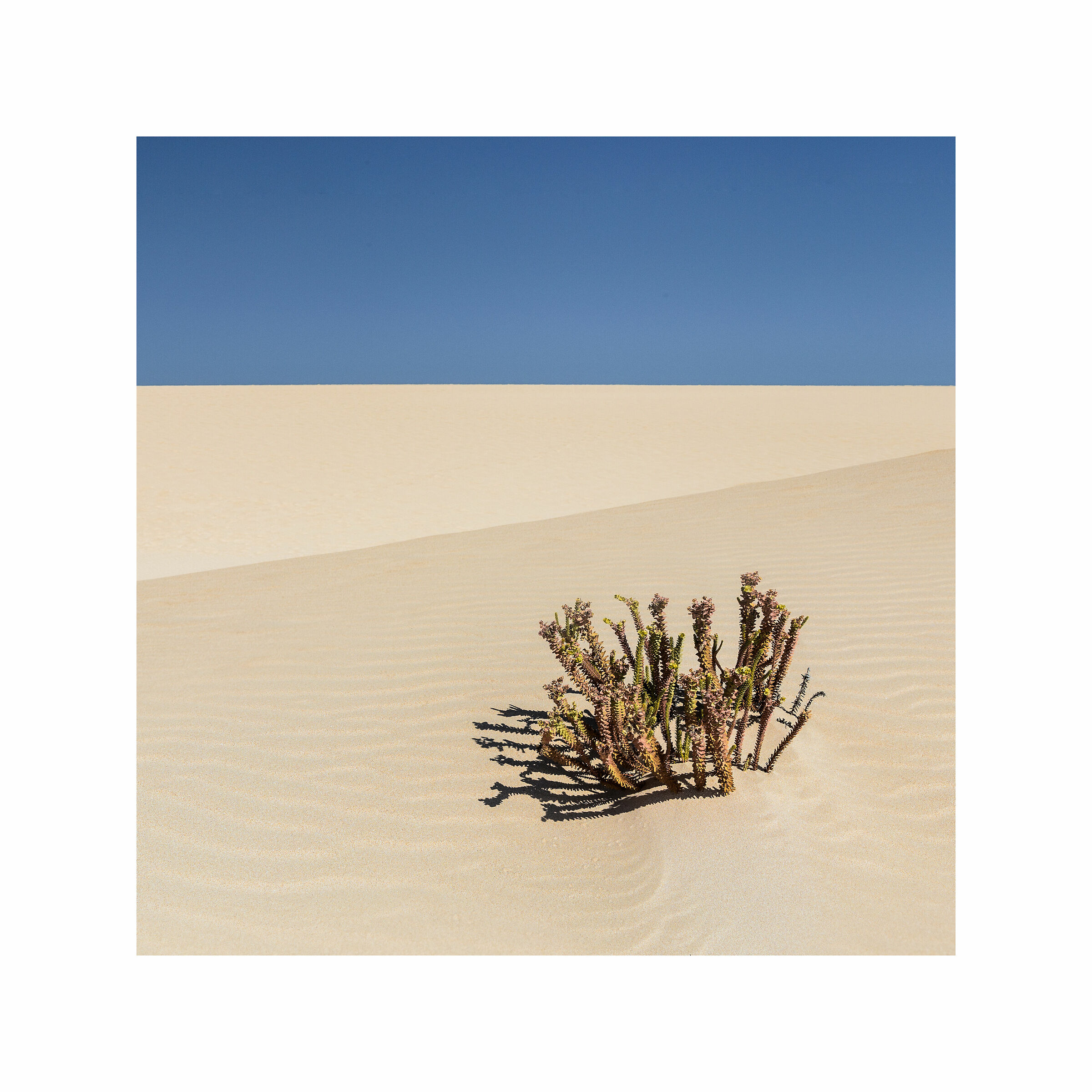 Desert_02