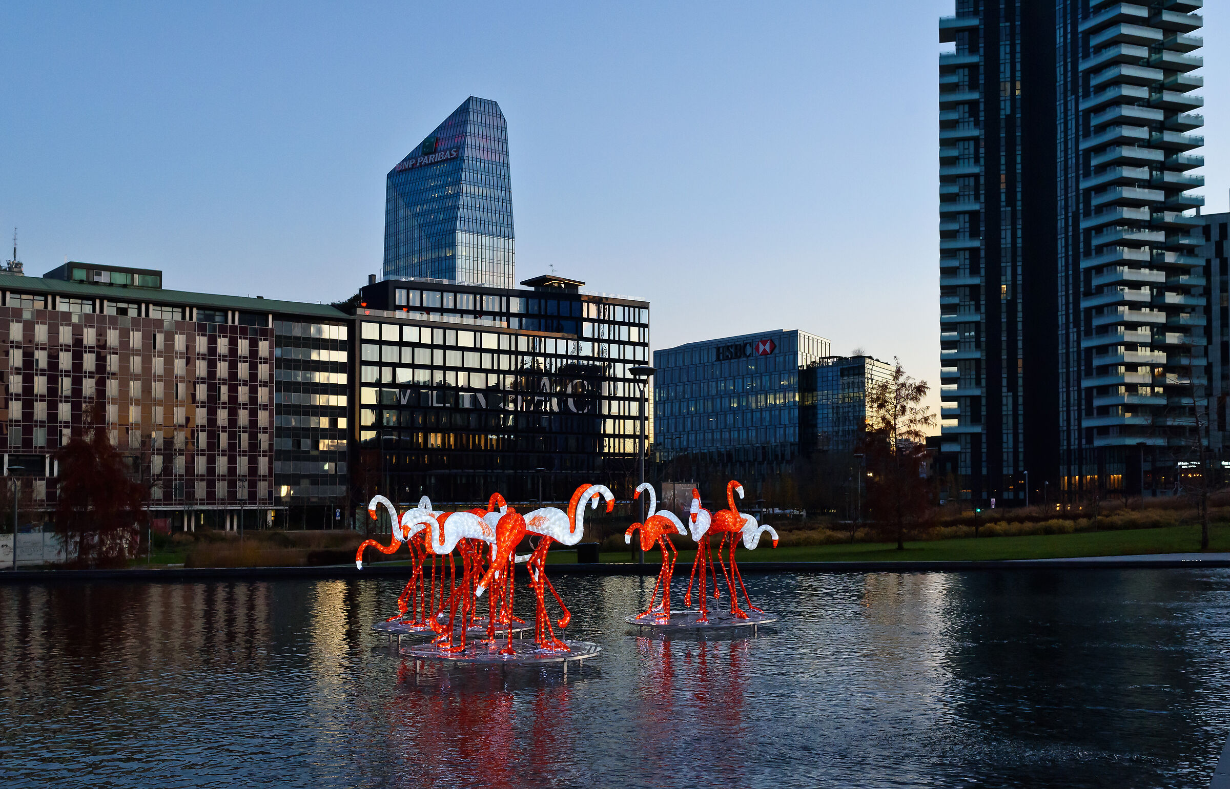 fenicotteri metropolitani