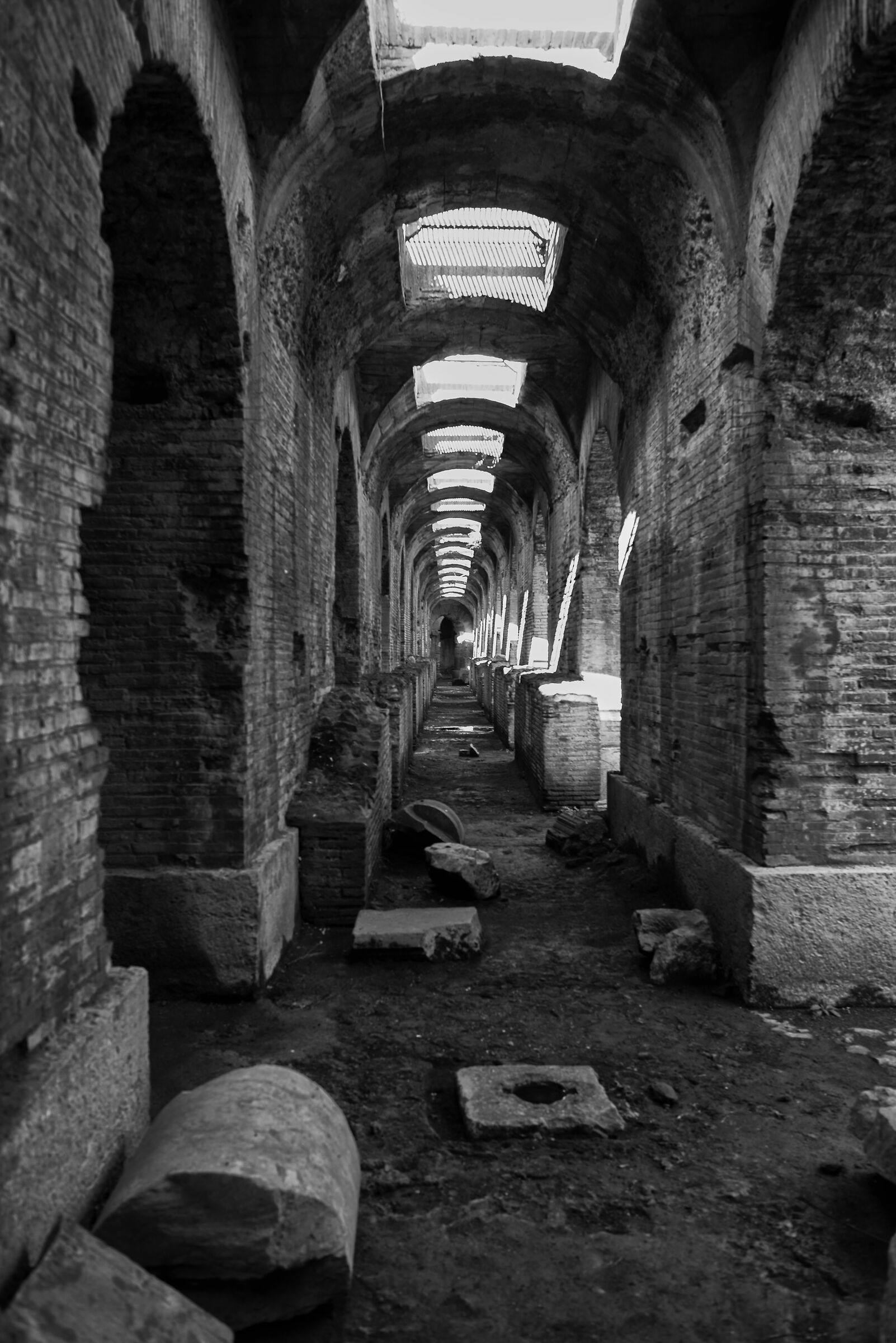 Nelle viscere dell'Anfiteatro