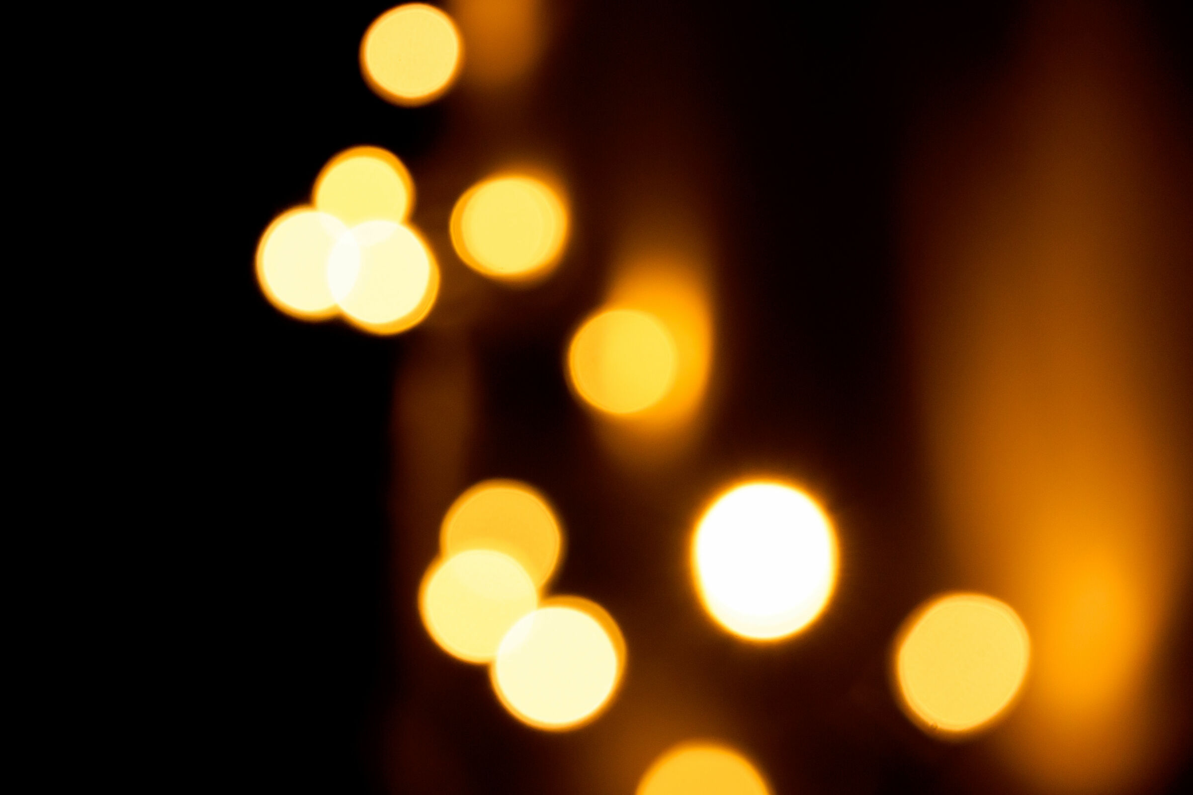 Untitled Photo