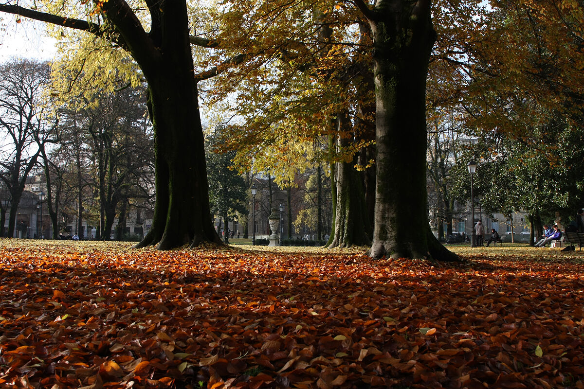 Vicenza: Giardini Salvi