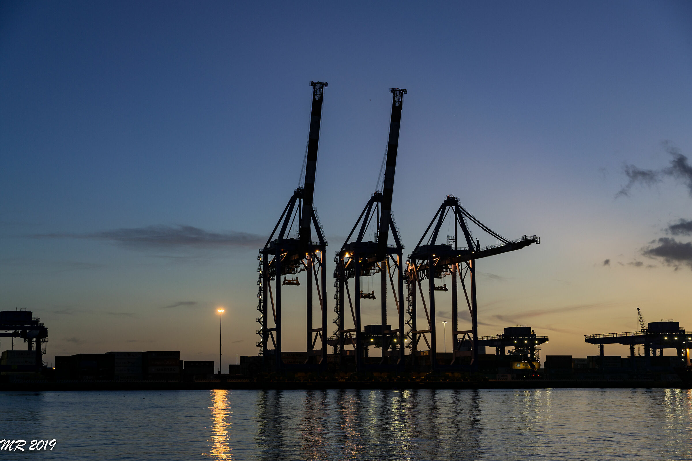 Contemporary Dinosaurs 2 - Genoa Porto