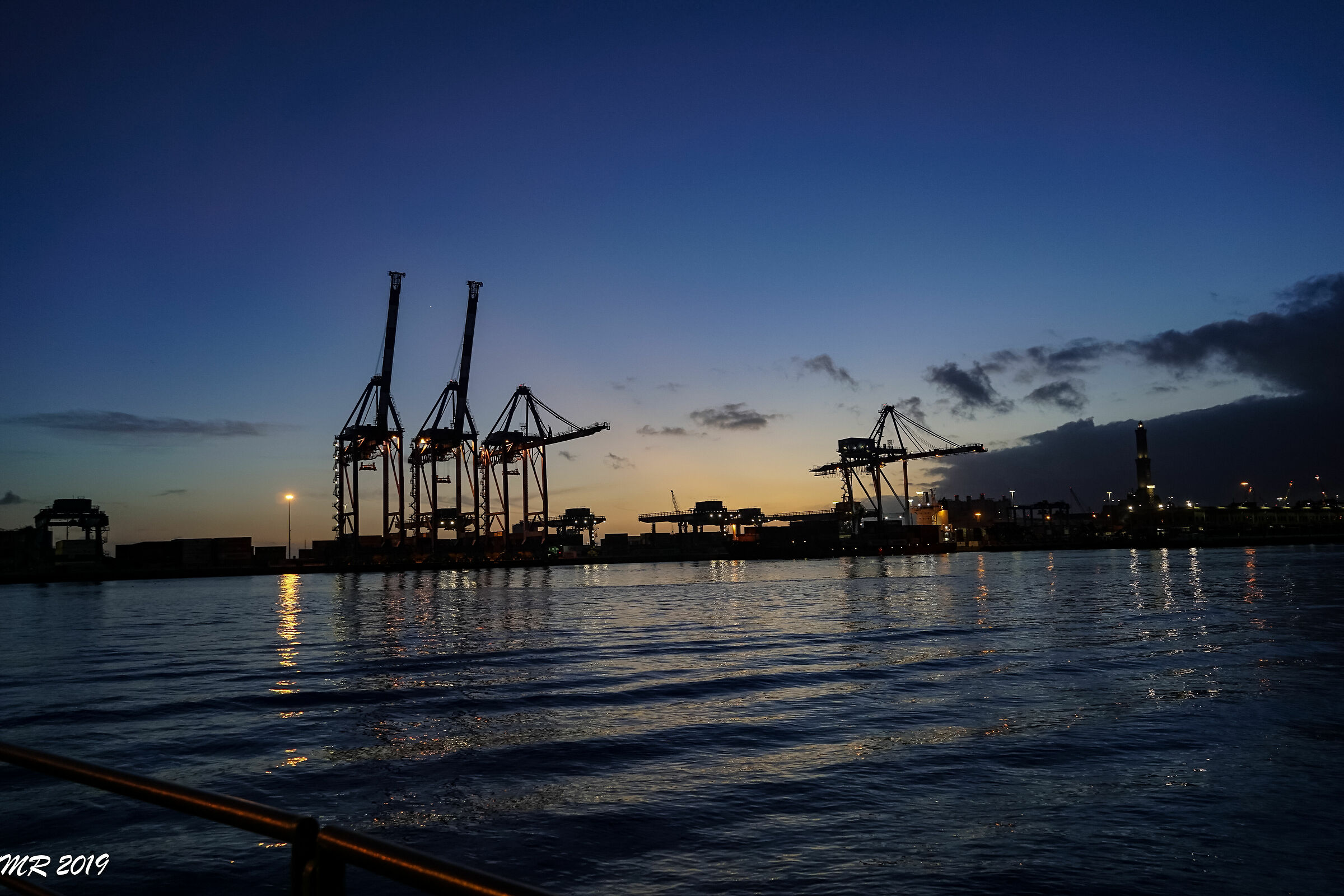 Contemporary Dinosaurs 3 - Genoa Porto