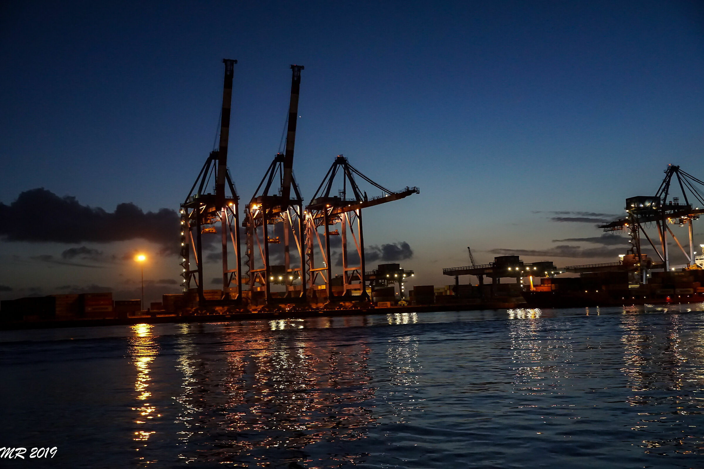 Contemporary Dinosaurs 5 - Genoa Porto