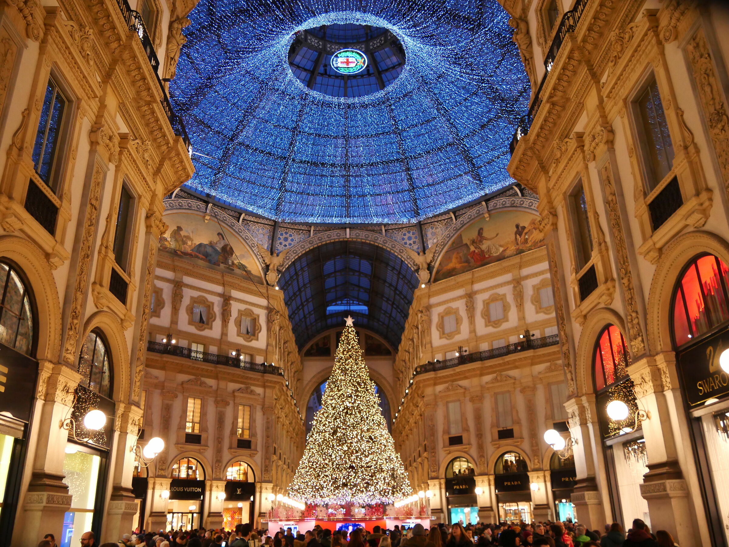 Albero galleria