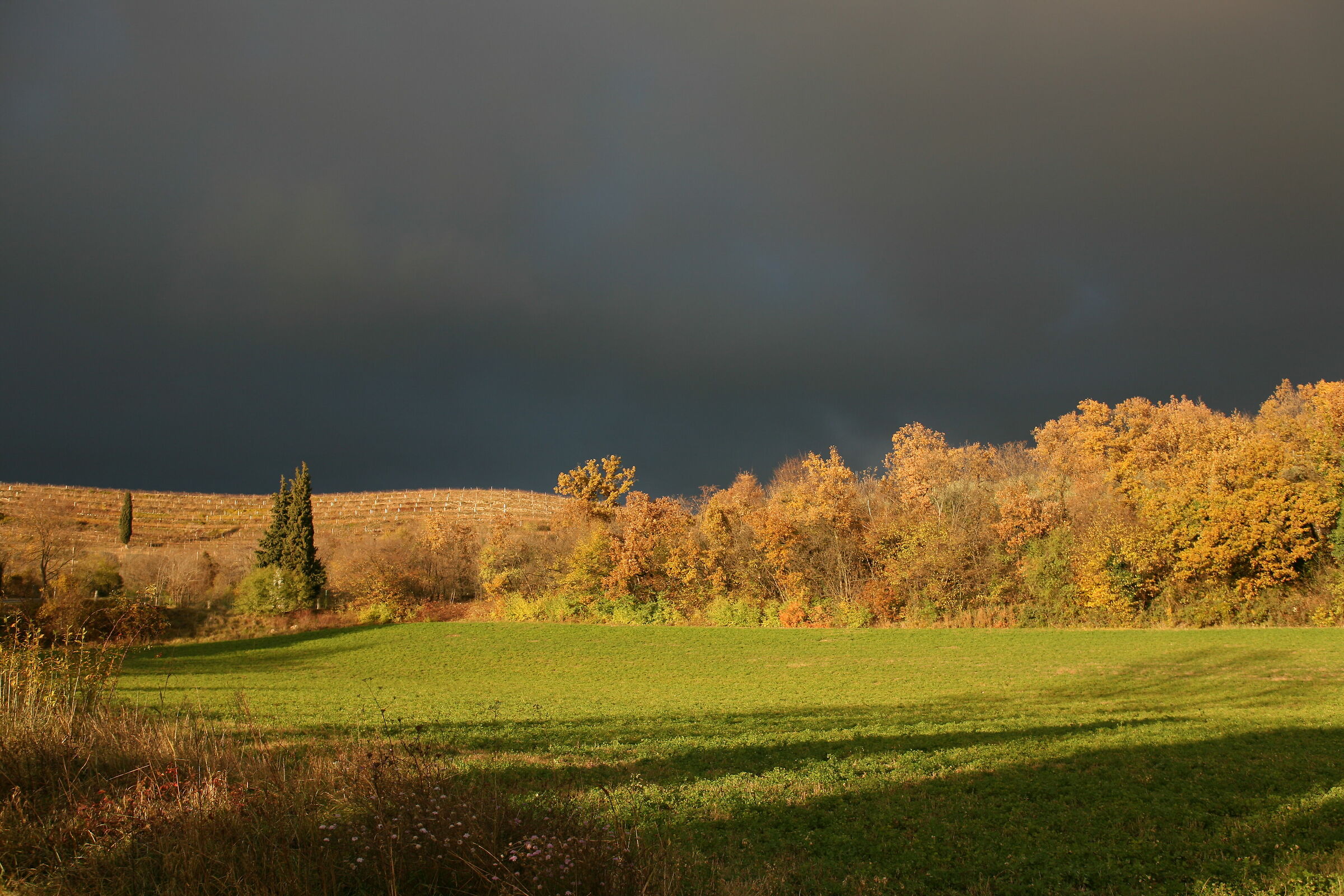 Incoming thunderstorm