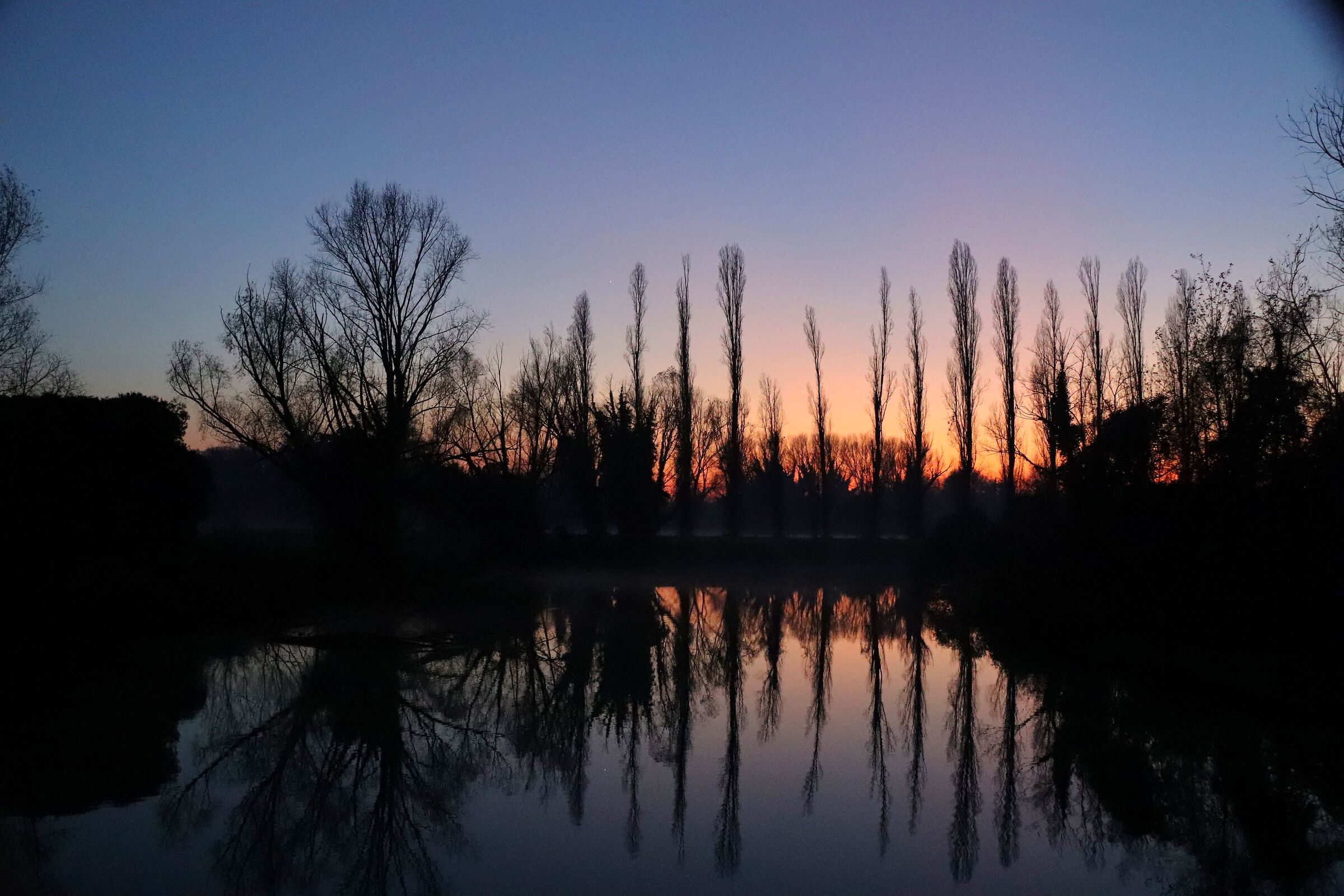Untitled Photo
