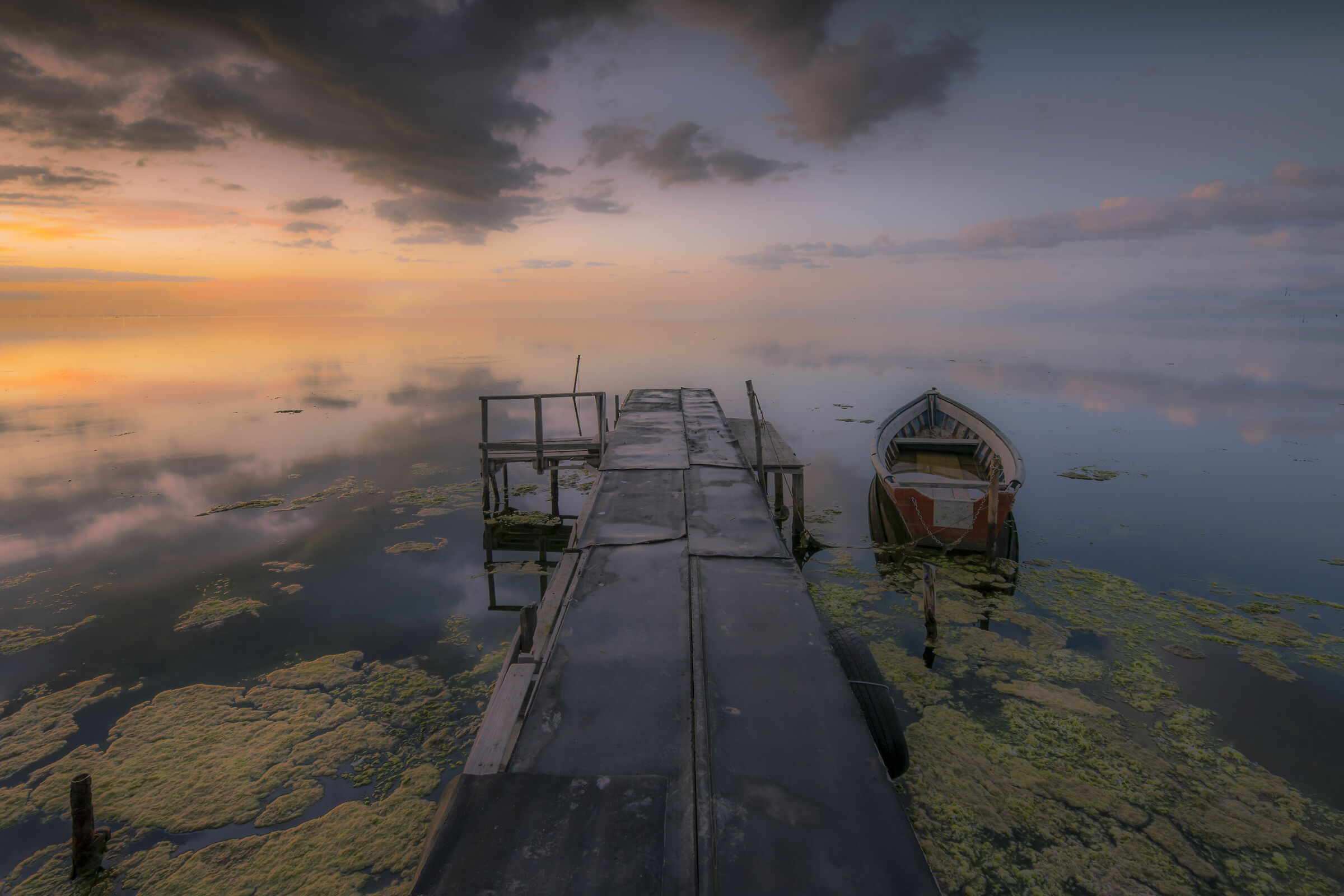 Sunrise on the pond