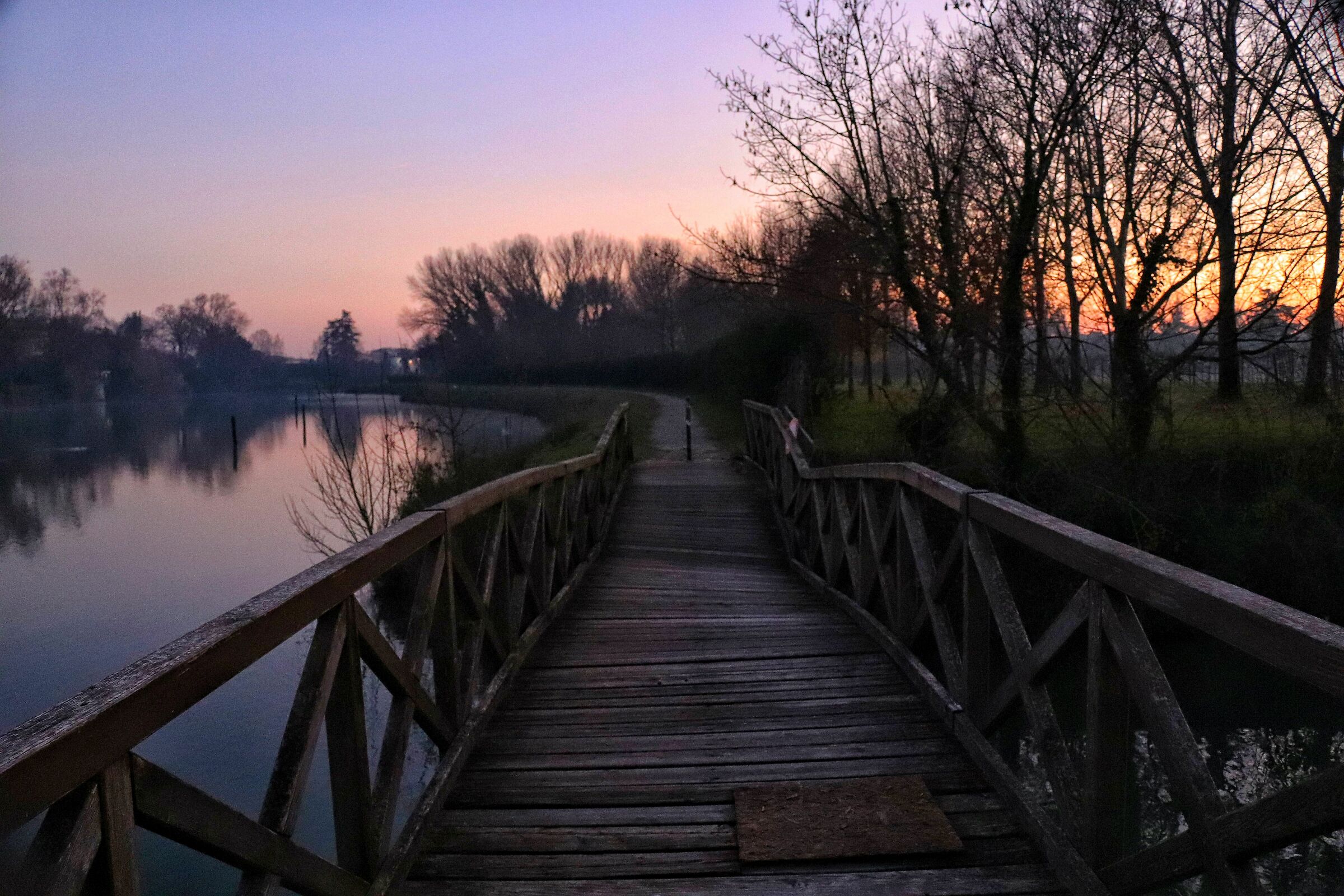 Untitled Photo