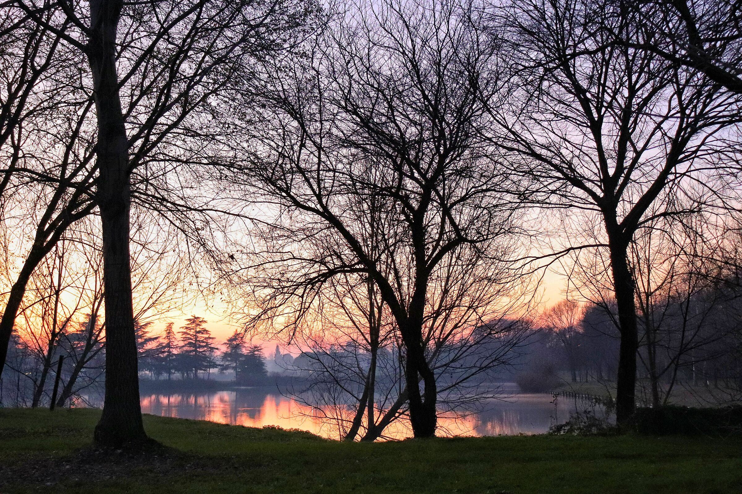 Untitled Photo