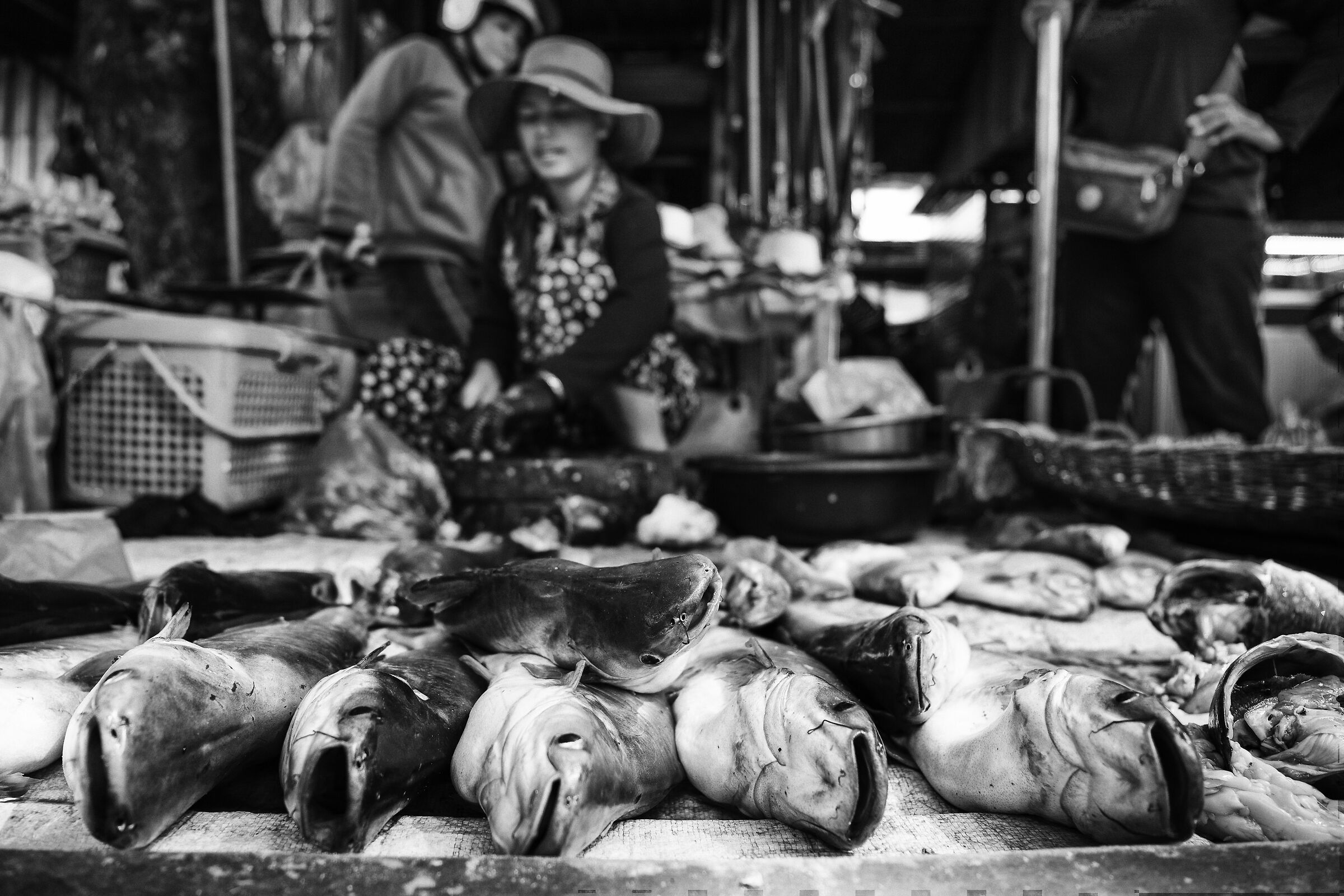 at the market in Cambodia