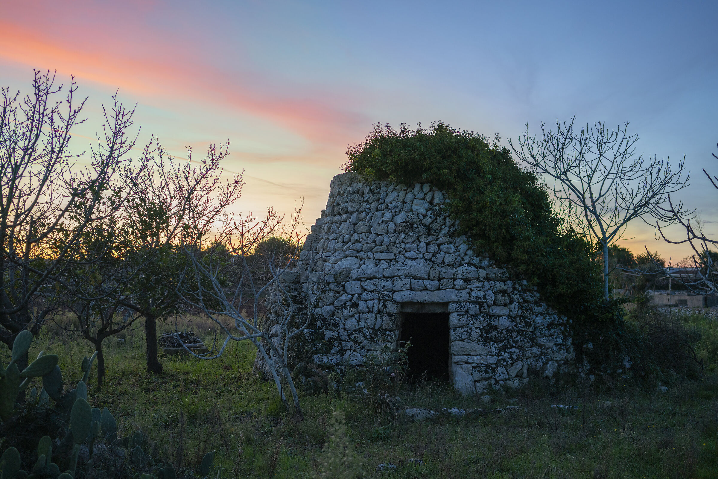 paesaggio rurale tipico del salento