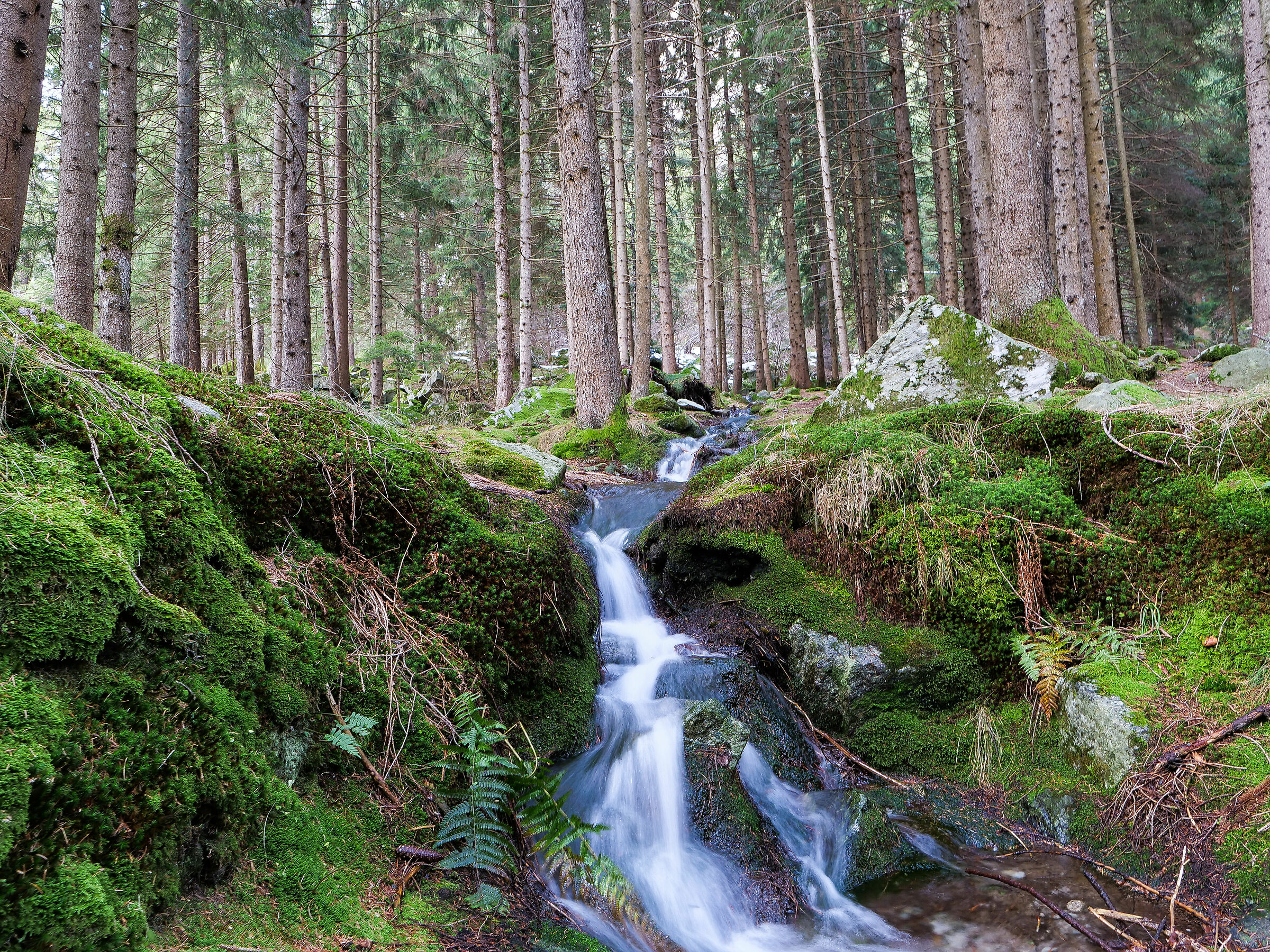 Protected from the snow