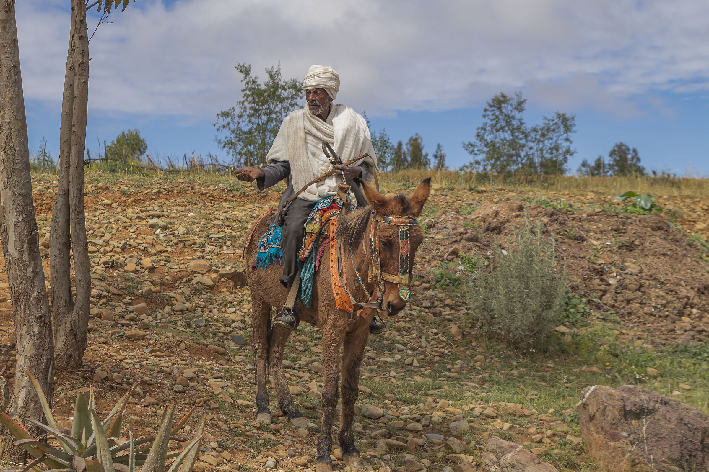 Etiopia.Incontri(camminando tra i campi del Tigray)