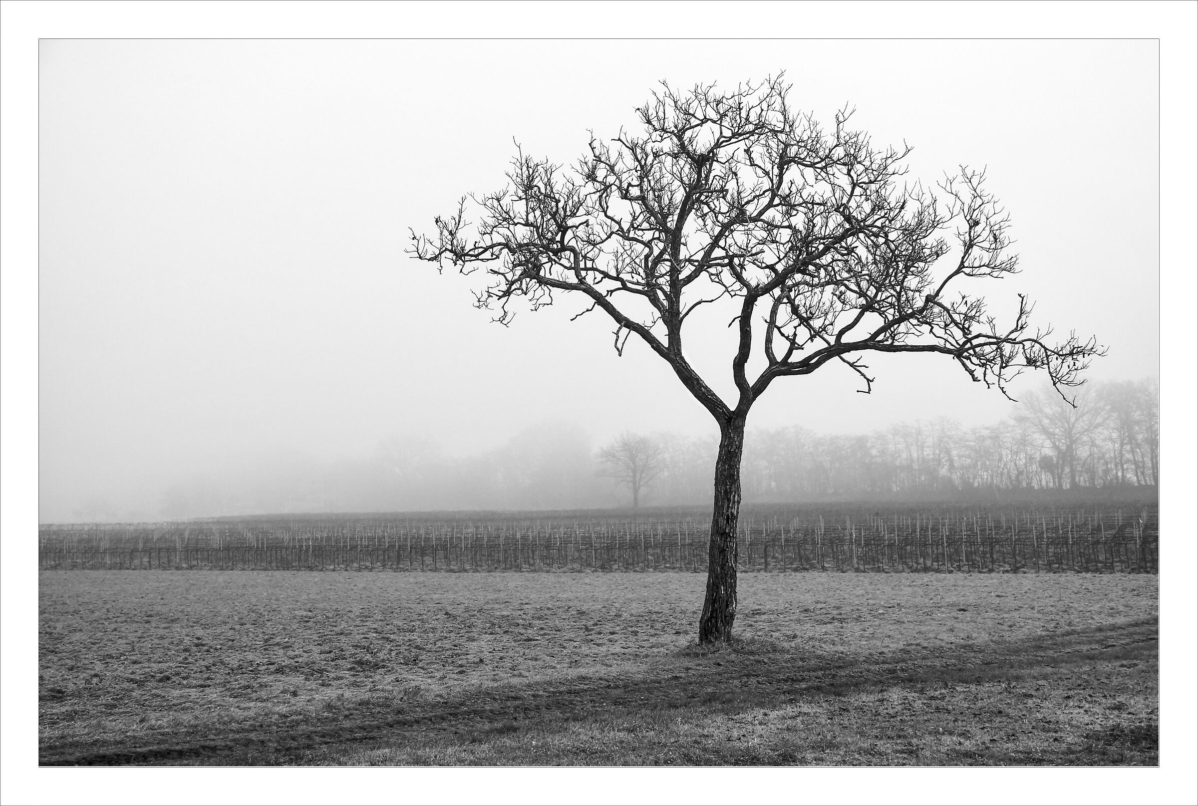 Paesaggio silenzioso
