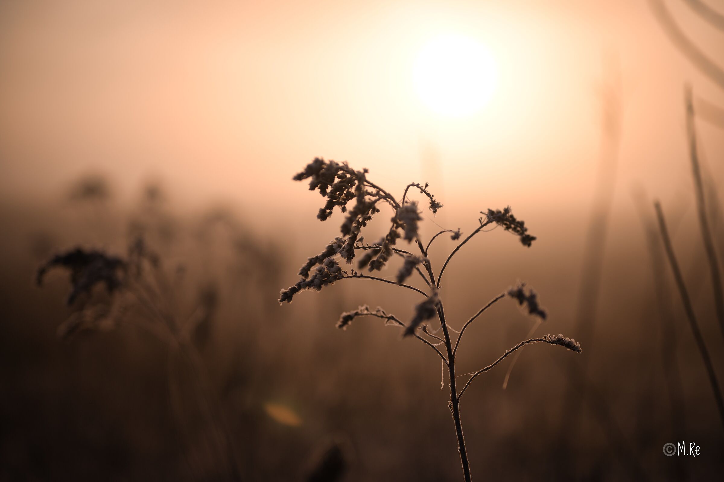 Untitled Photo