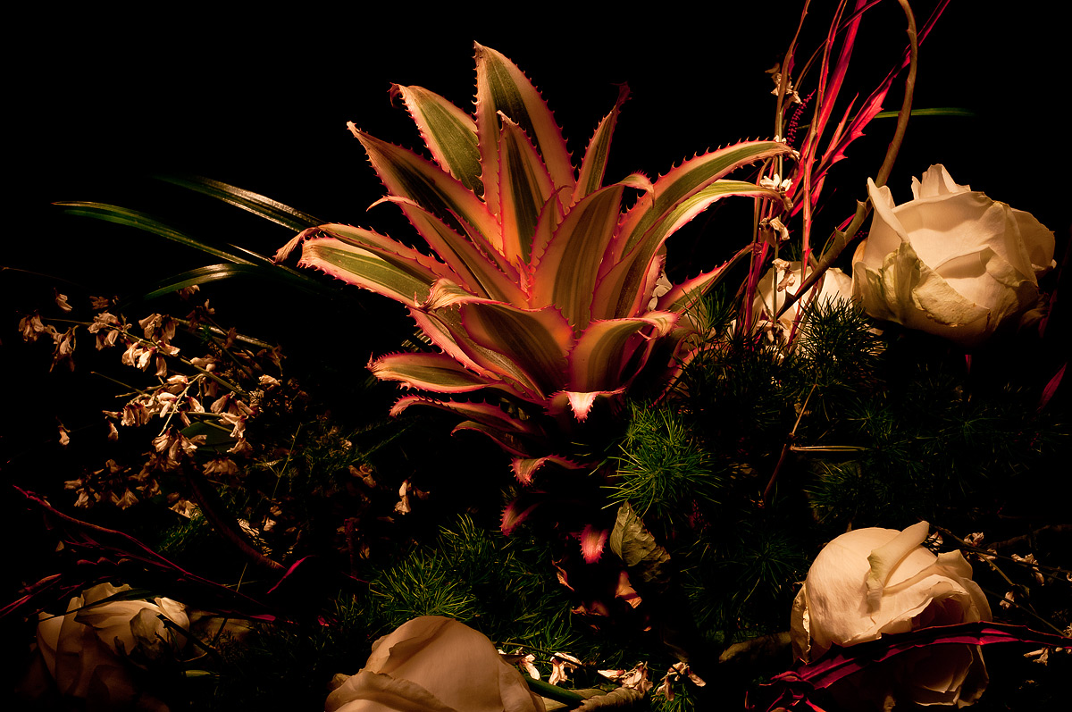 flowers in light painting