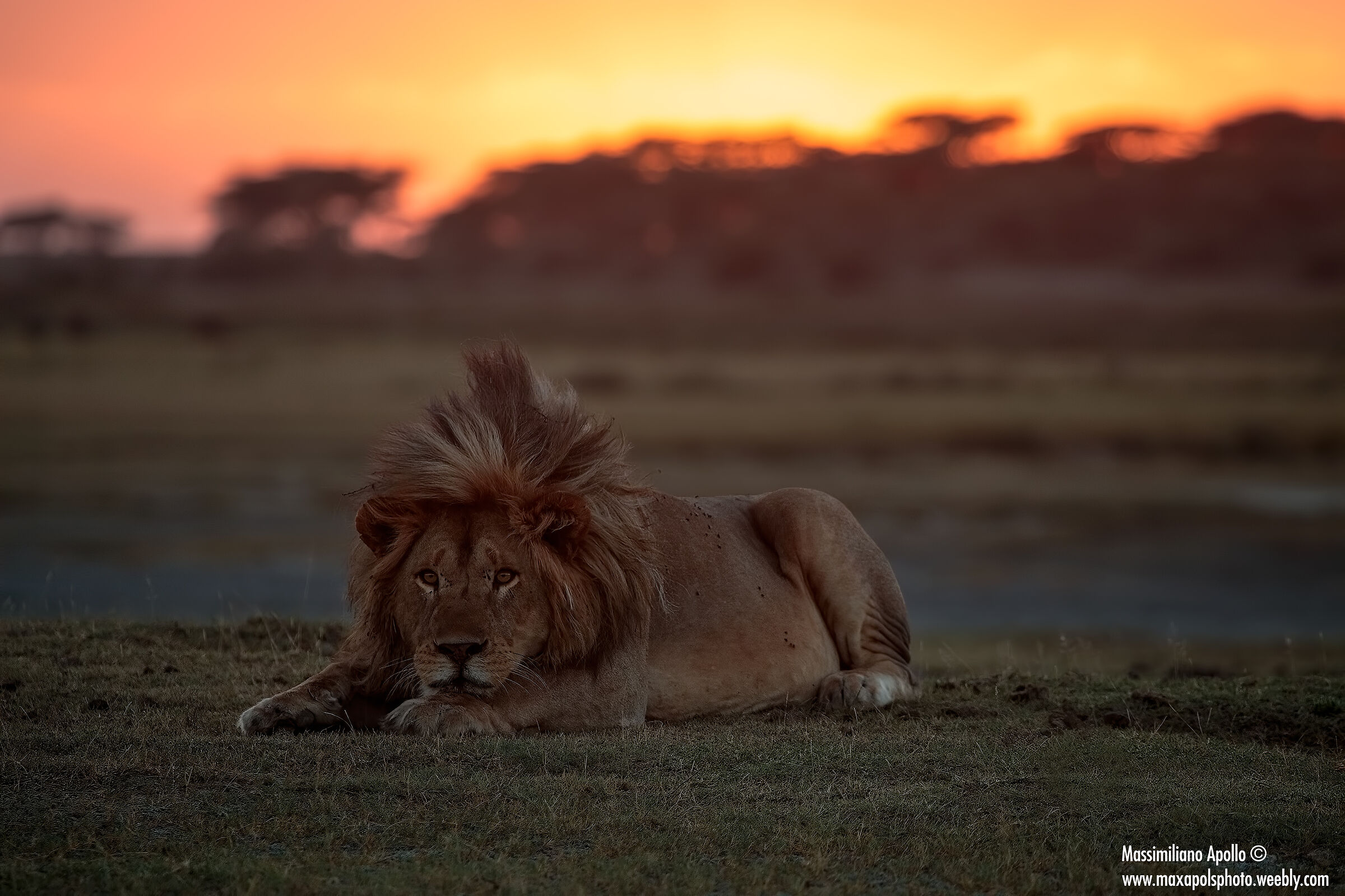relax al tramonto...