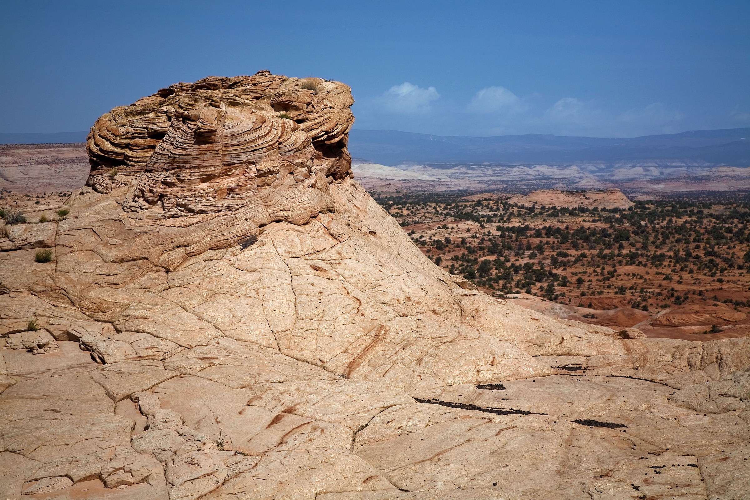 Cavolfiore in Escalante