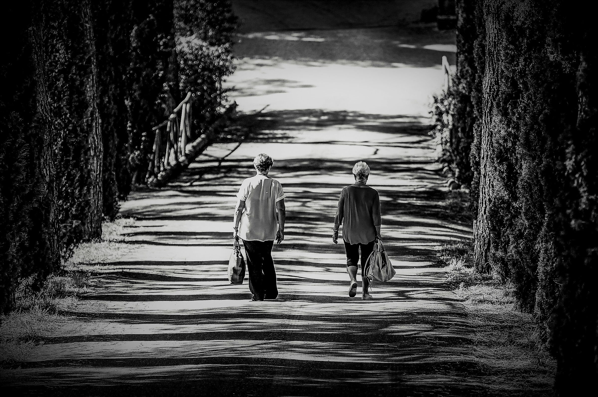 Quattro passi all'ombra