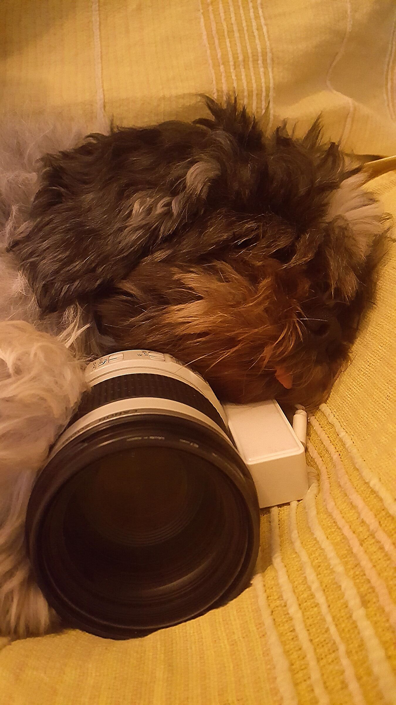 Una dura giornata di foto :)