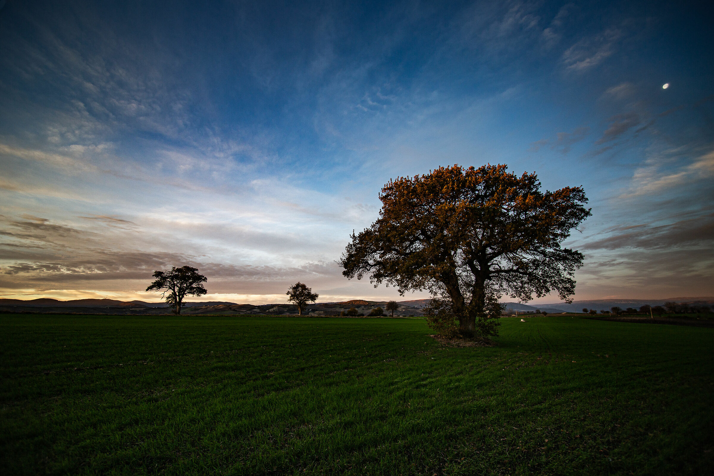 Quel che resta della notte