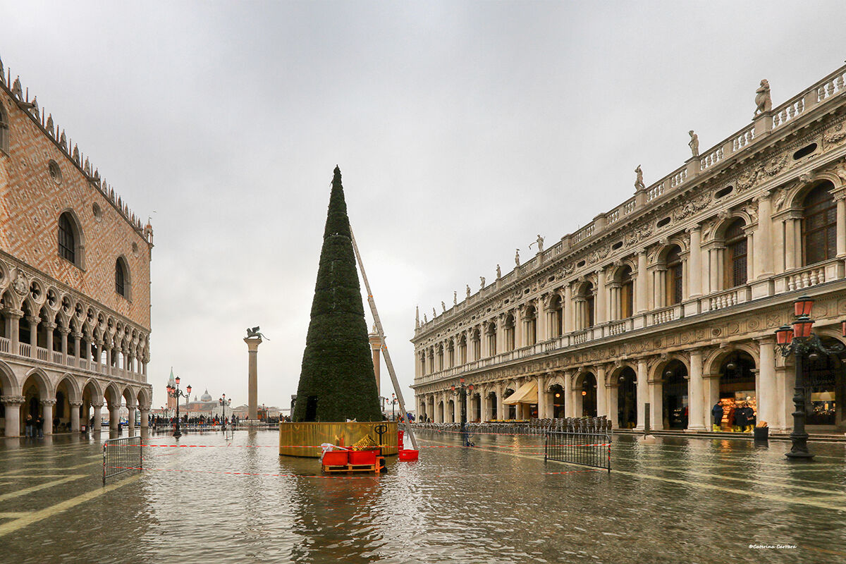 Happy Holidays to all Venetians