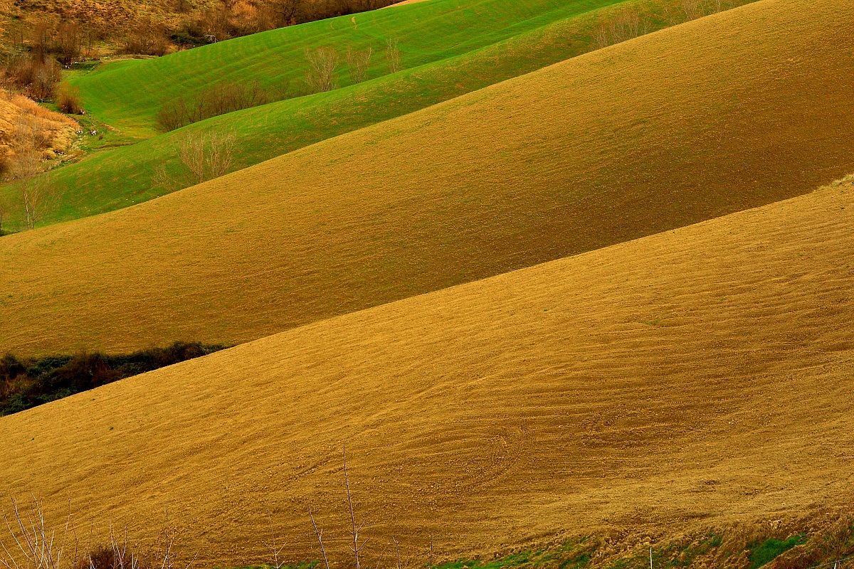 La bella terra seminata.