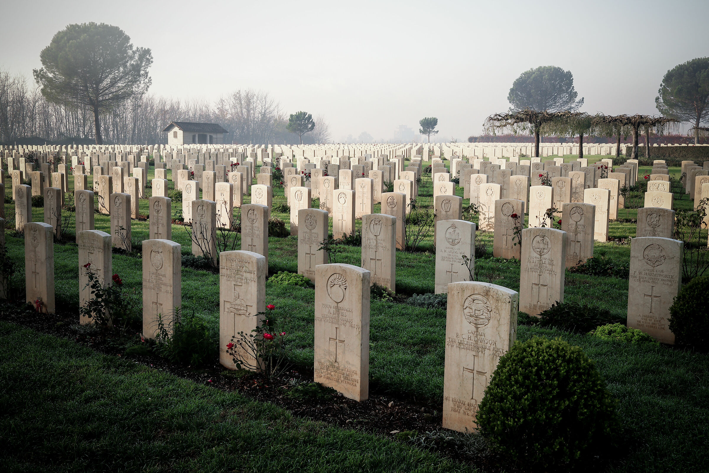 English Cemetery (Cassino)