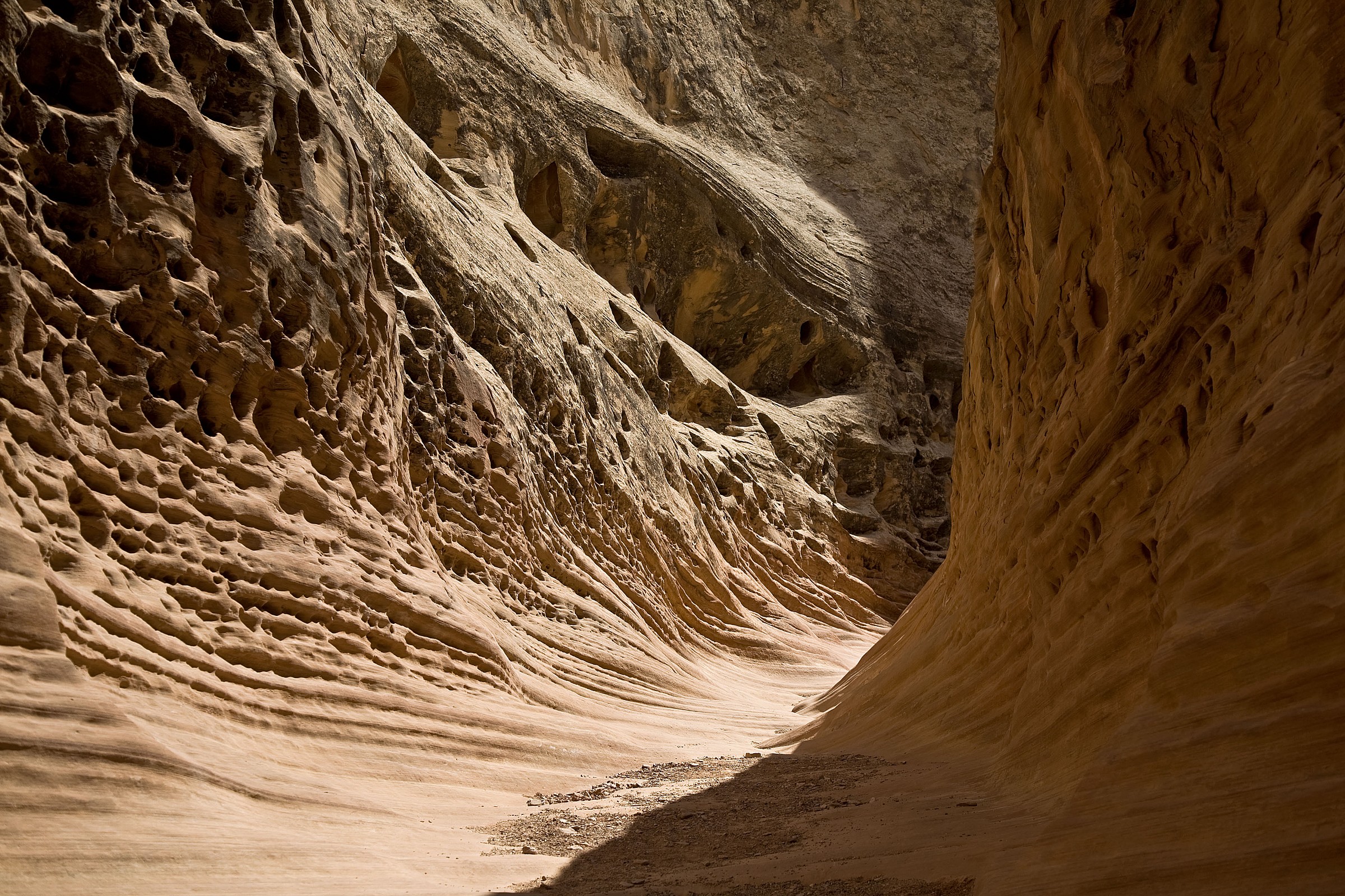 Poco Wild Horse Canyon 1