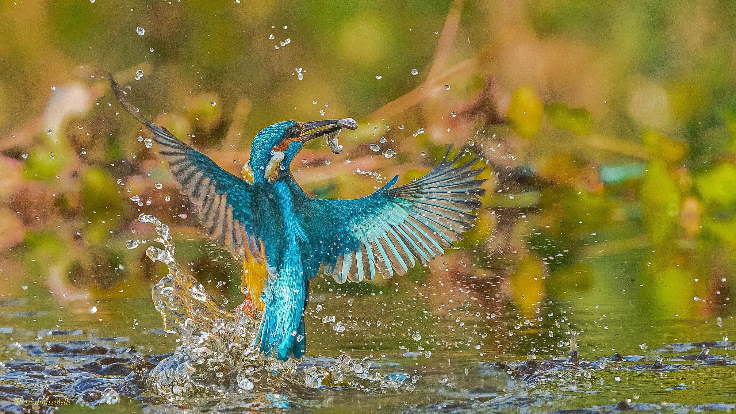 Fishing and twisting