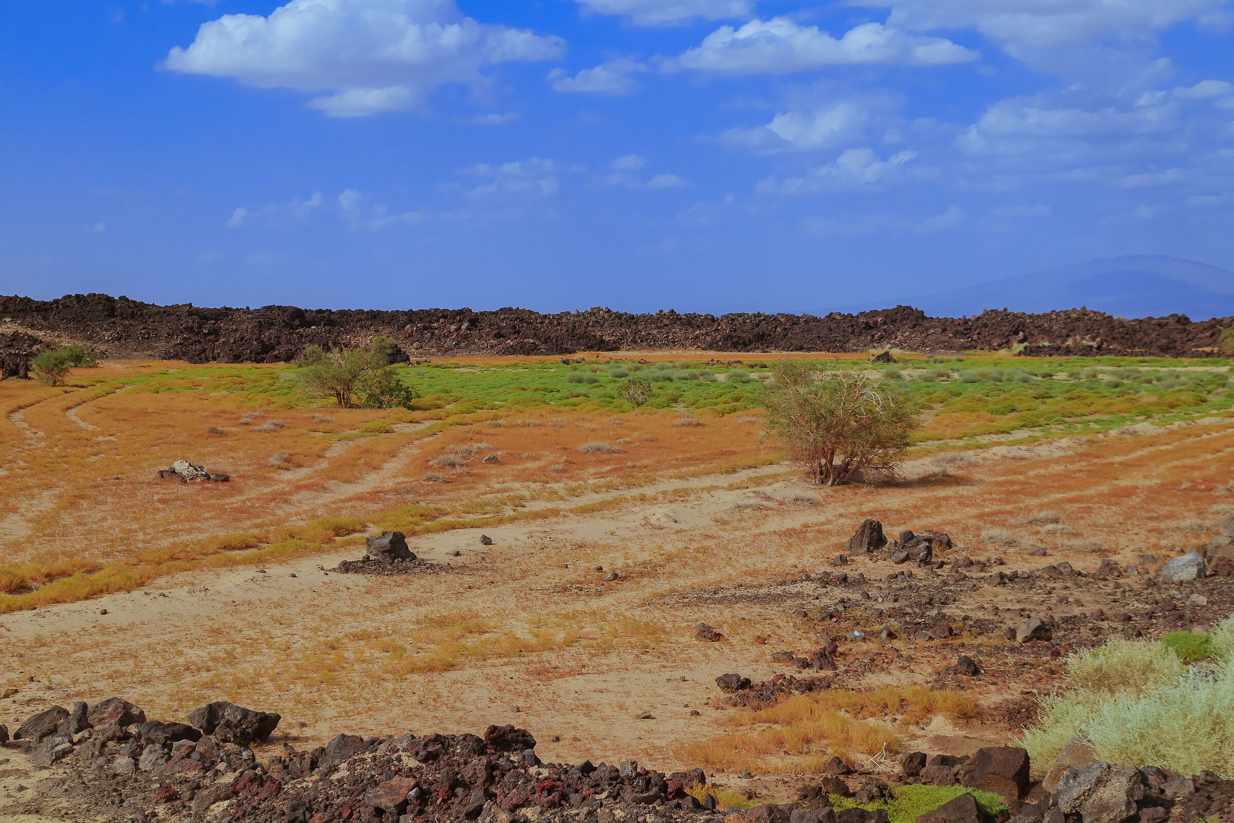 Etiopia.Paesaggi e colori,deserto di lava In dancalia