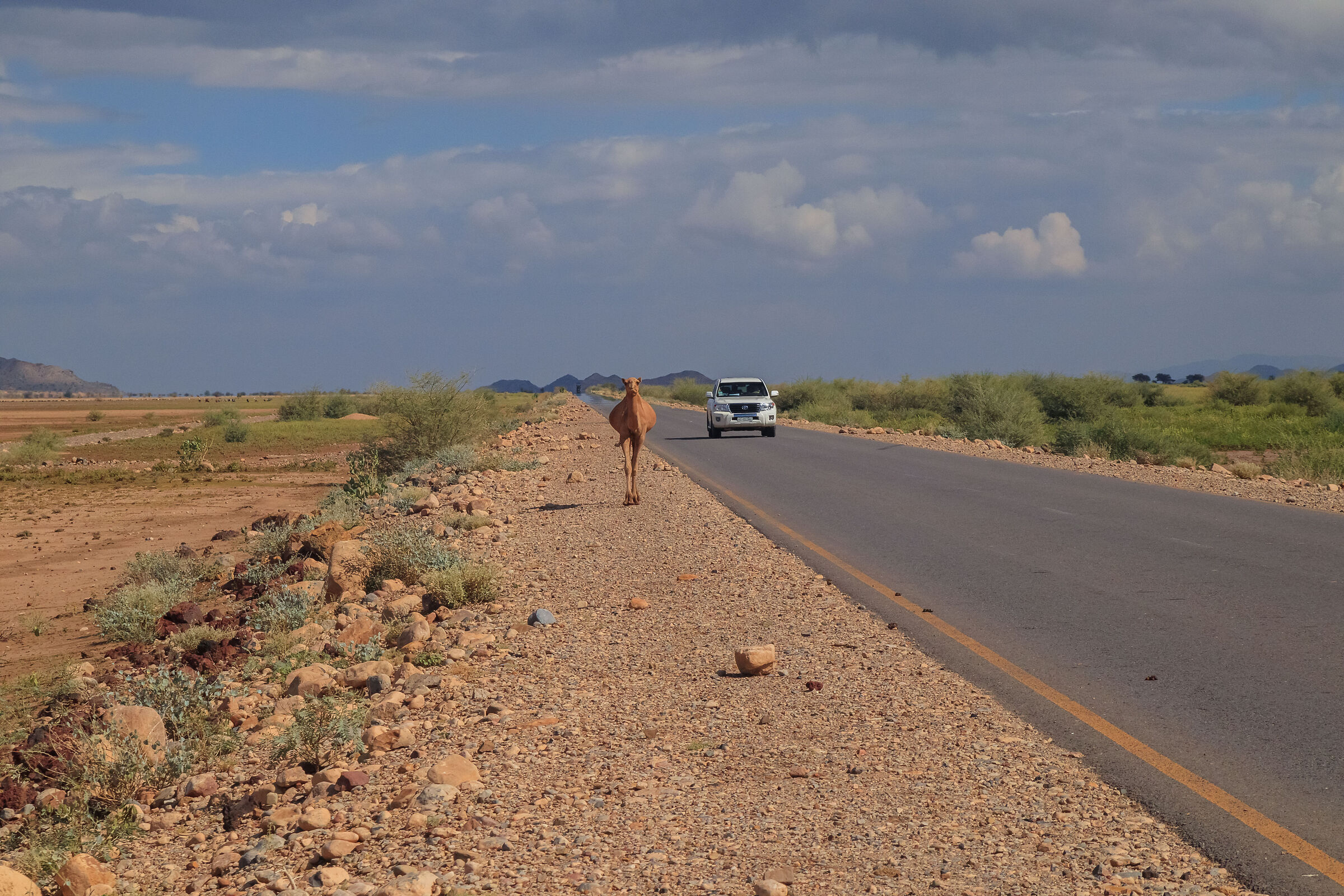 Etiopia.Dancalia:Una strada due velocità.