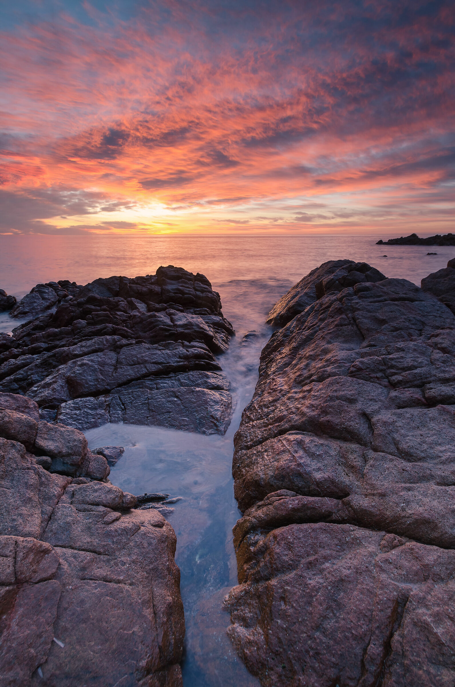 Capo coda cavallo (l'alba)