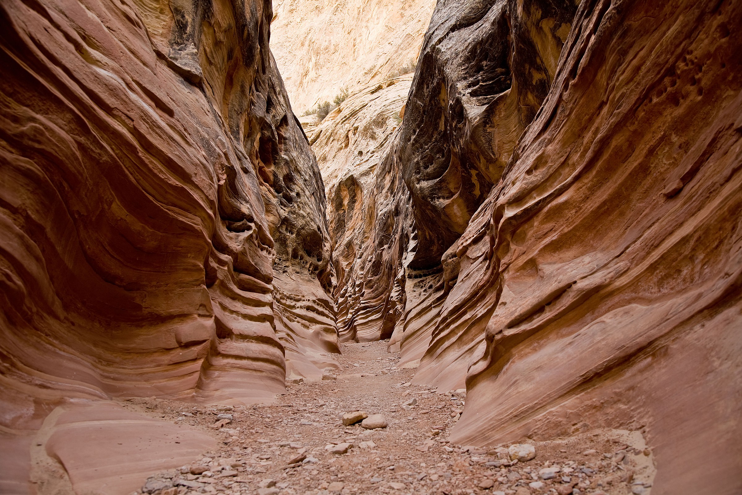 Poco Wild Horse Canyon 2
