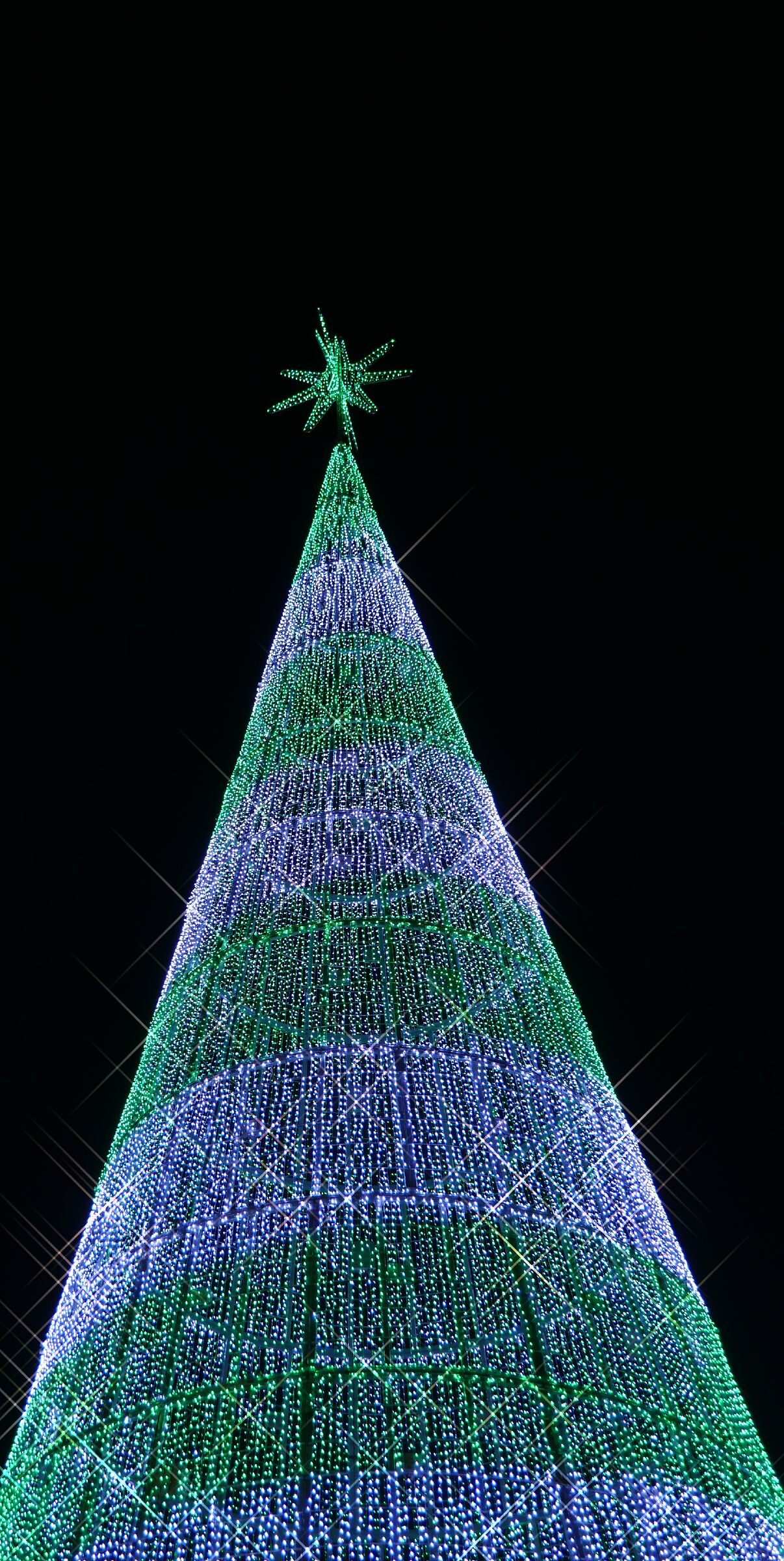 Cathedral Square Tree