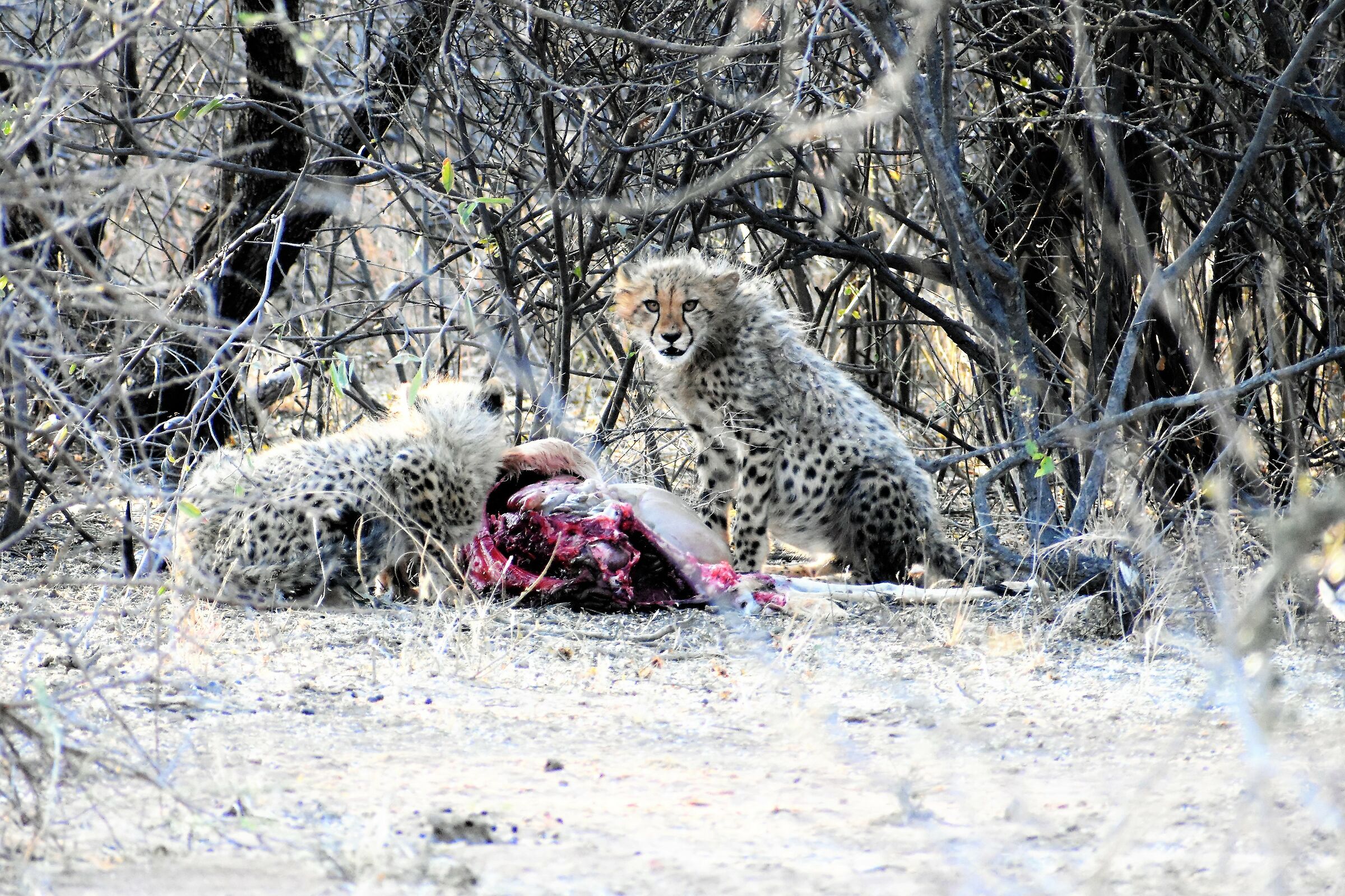 Make it like you don't pray!