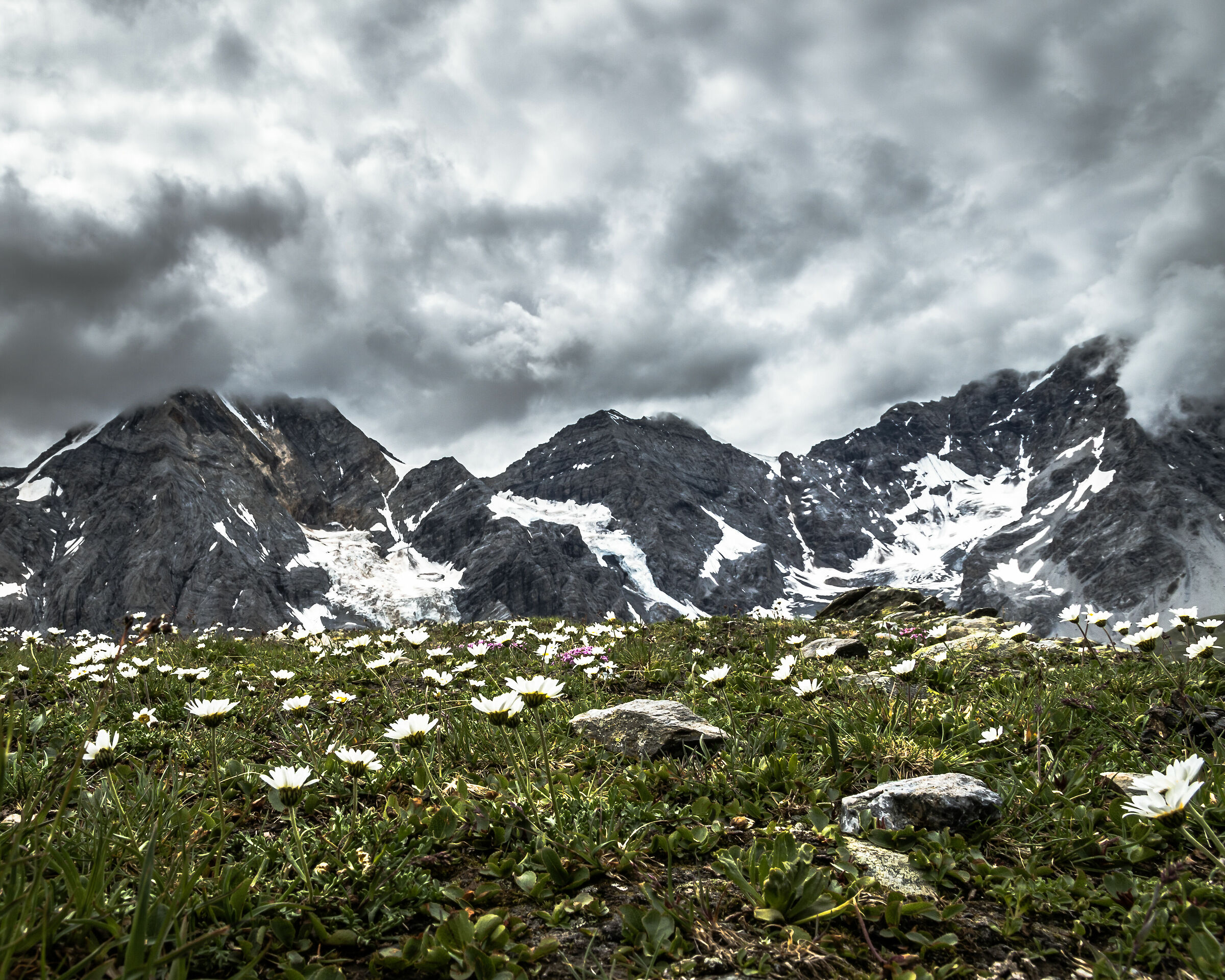 Ortles-Cevedale Group