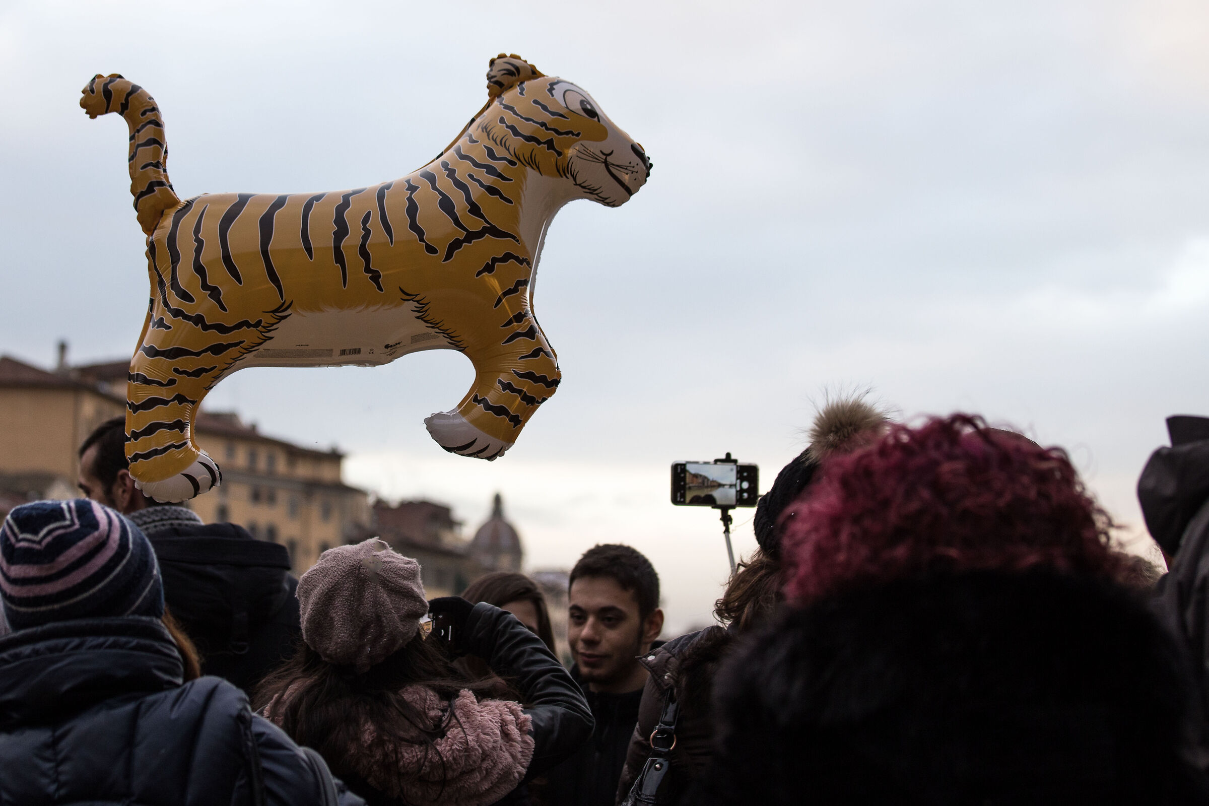 The Leap of the Tiger